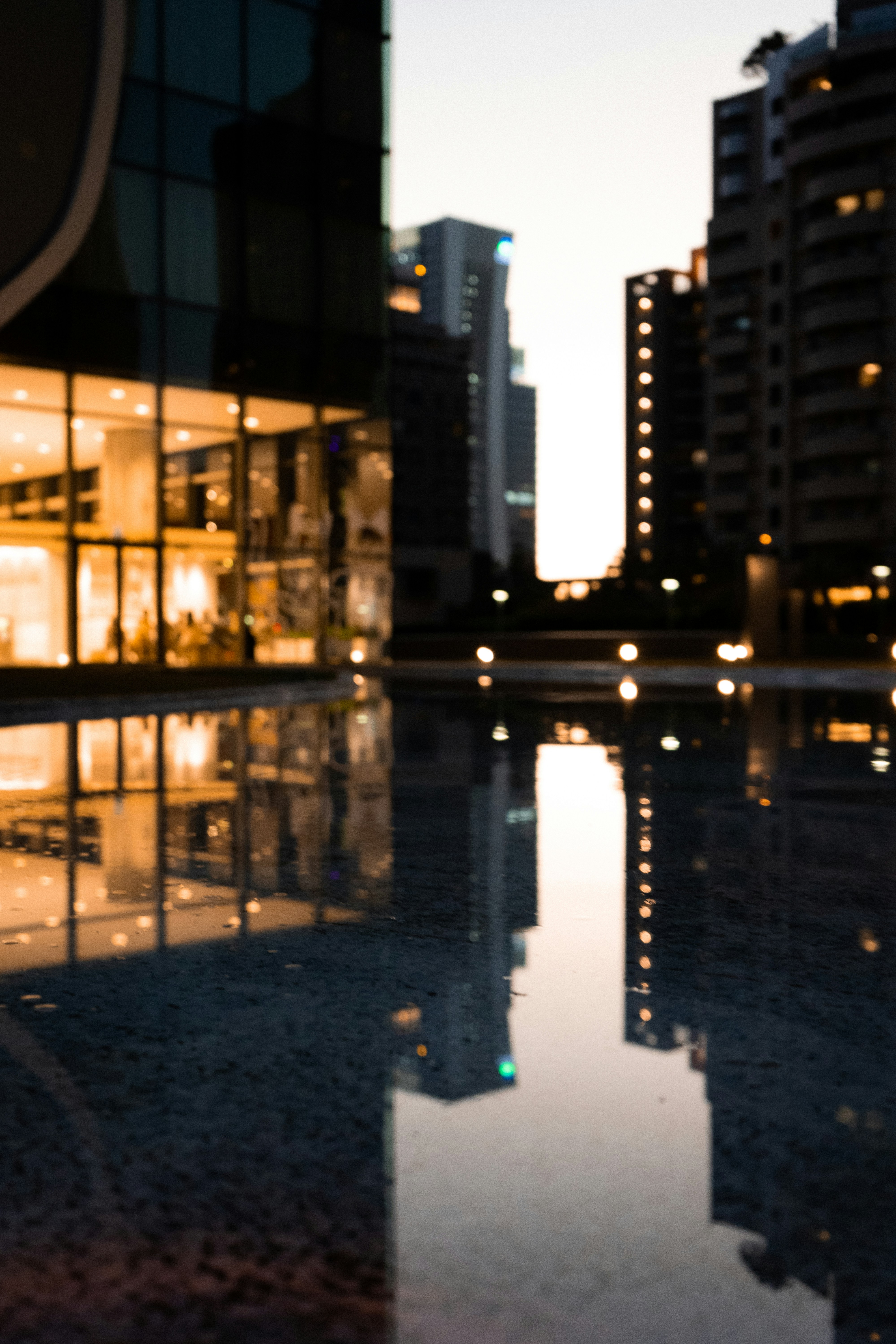 Photo by harrisonchang