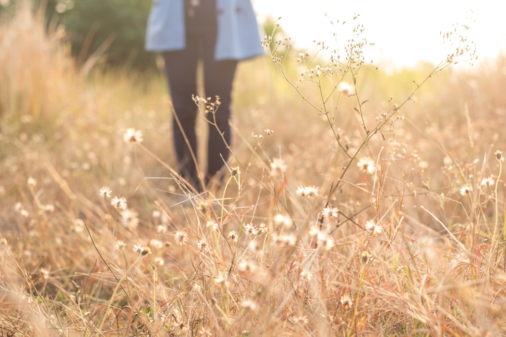 a person standing in a field of tall grass