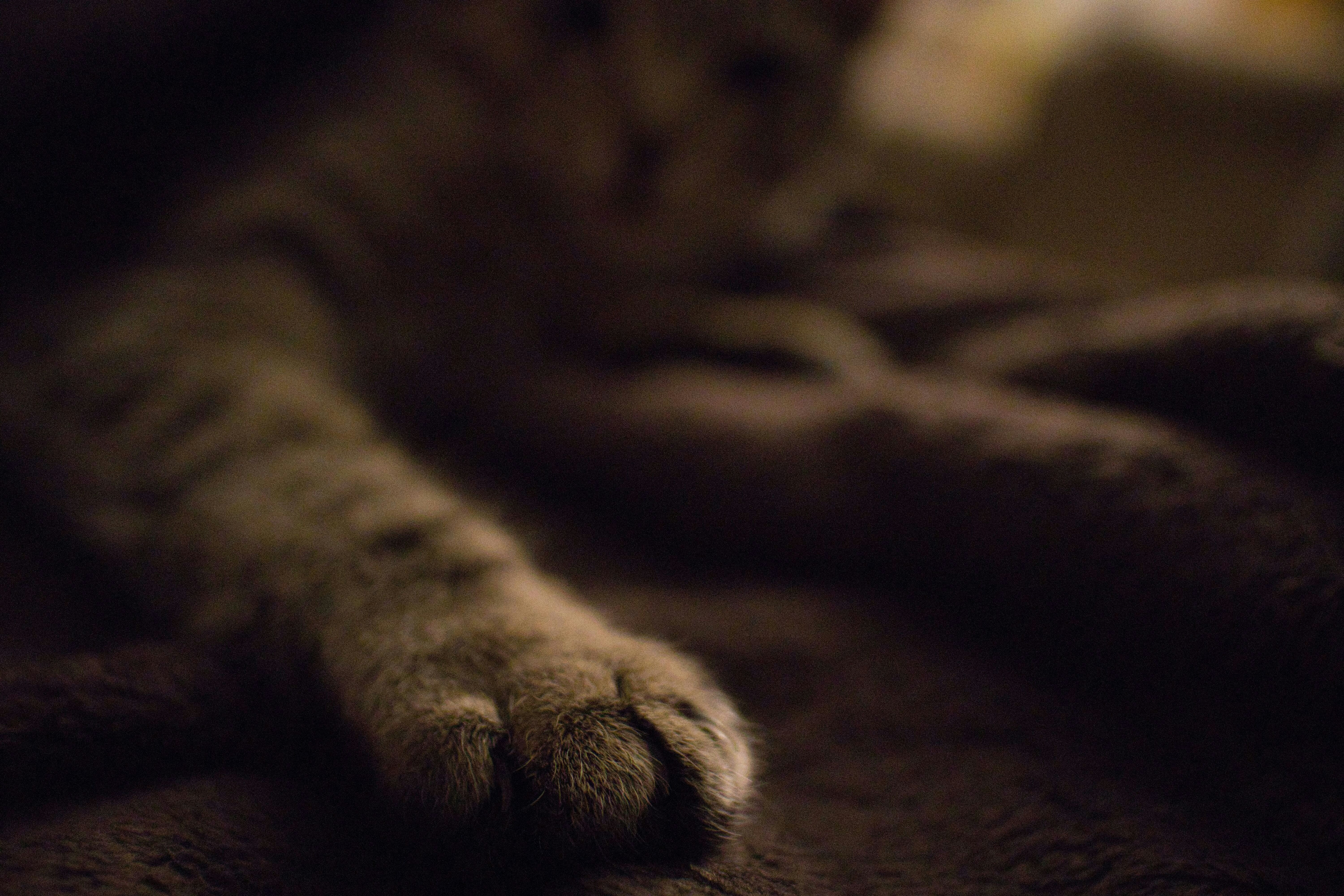 Photo by shanehoving