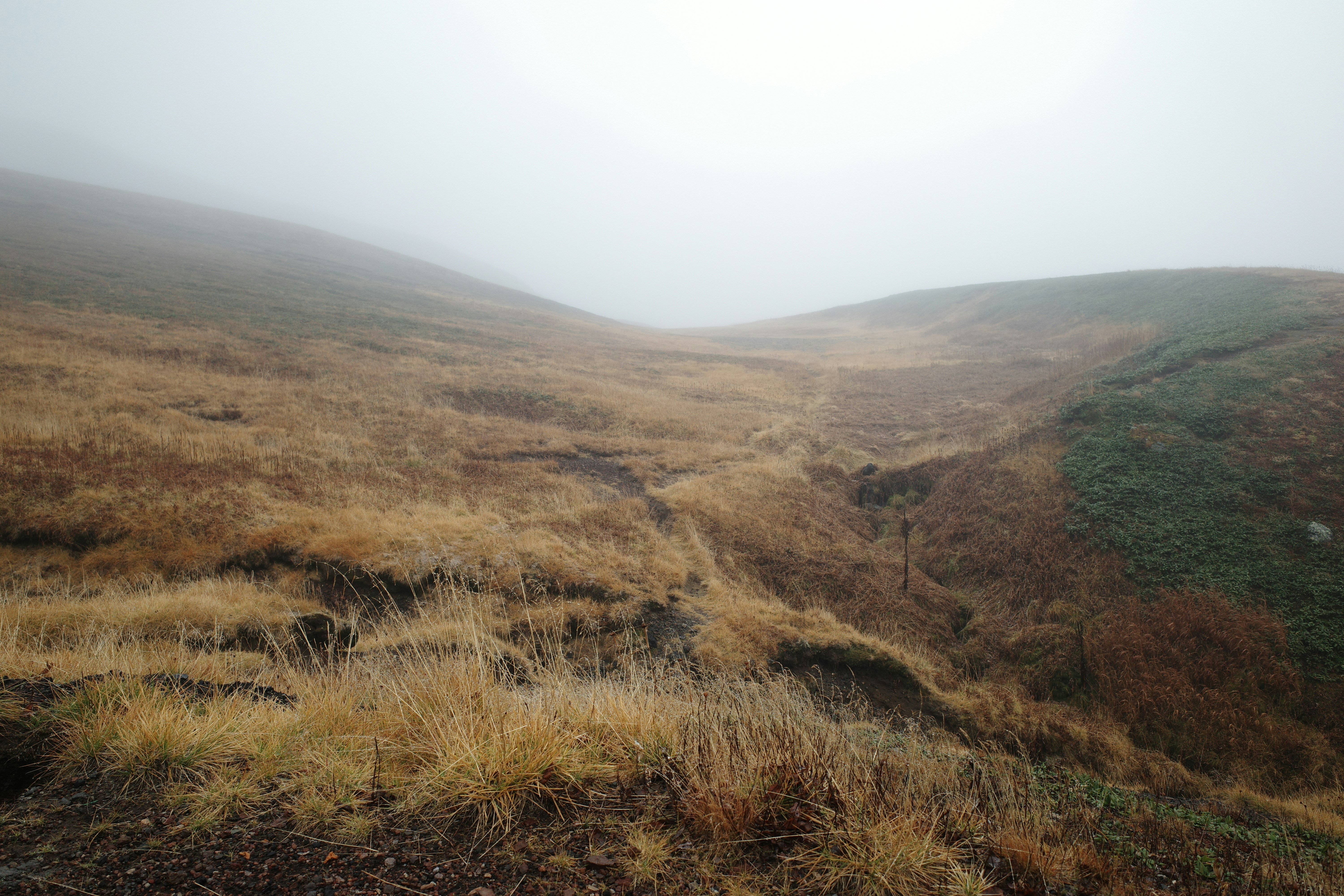 Photo by msz010dzeta