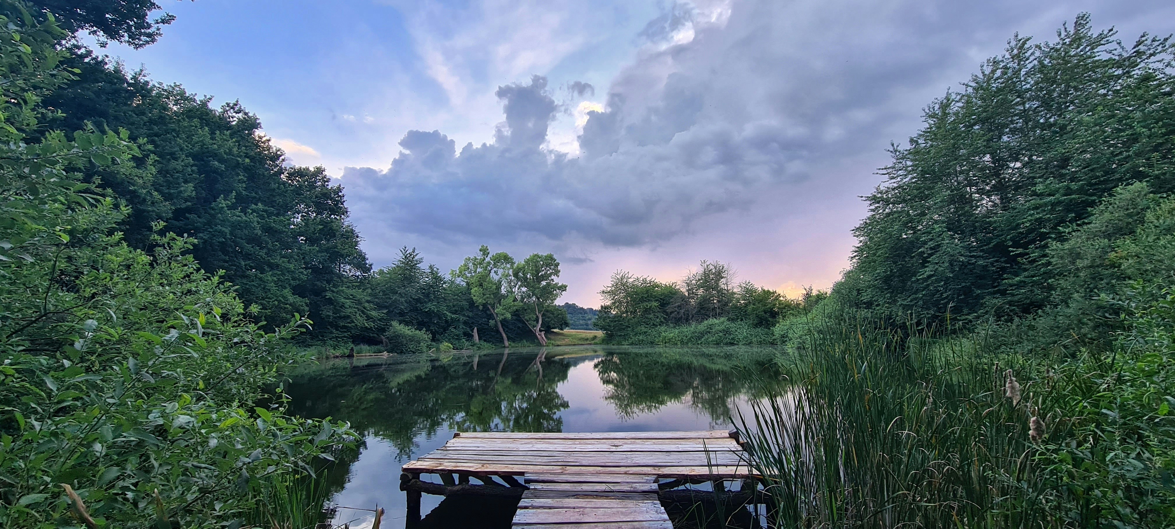 a wooden dock sitting on the side of a river