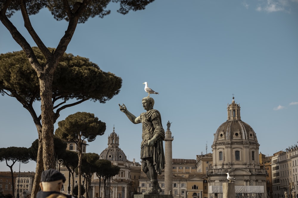 a statue of a man with a seagull on his shoulder