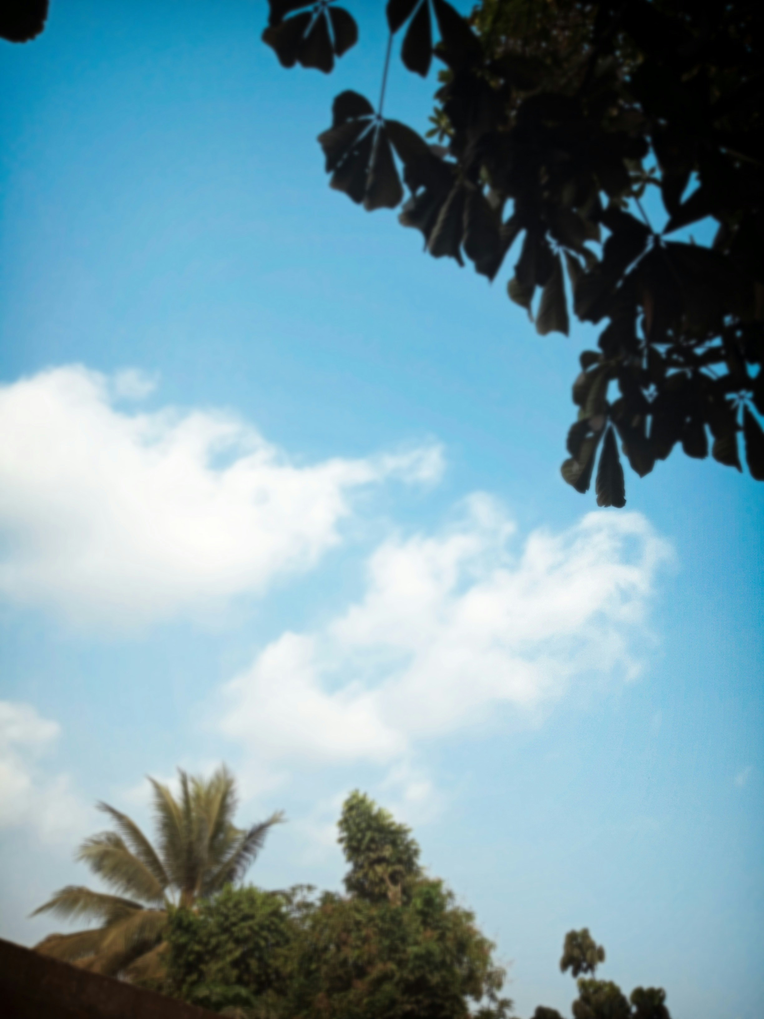 Photo by chaliemoscow