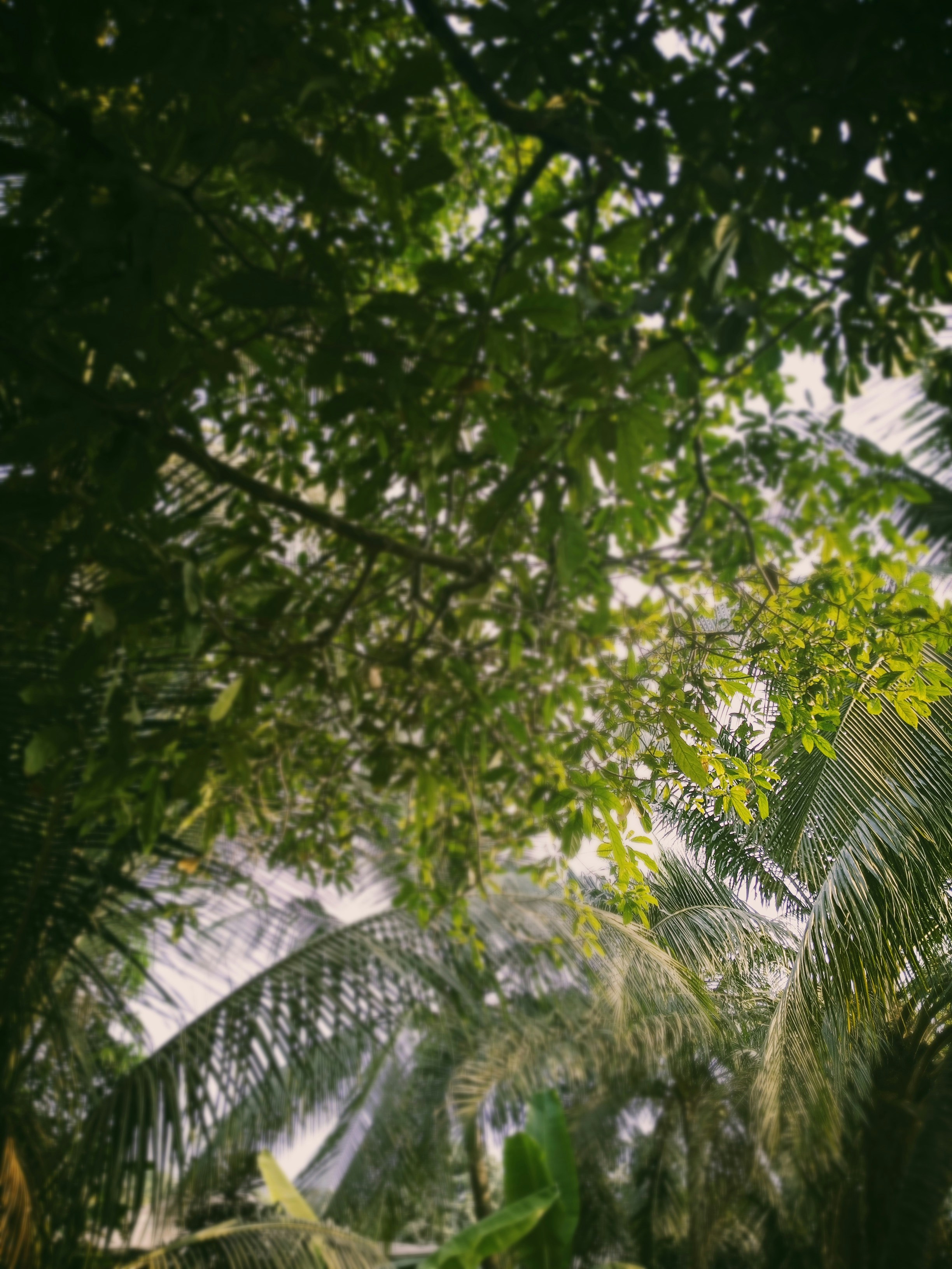 Photo by chaliemoscow