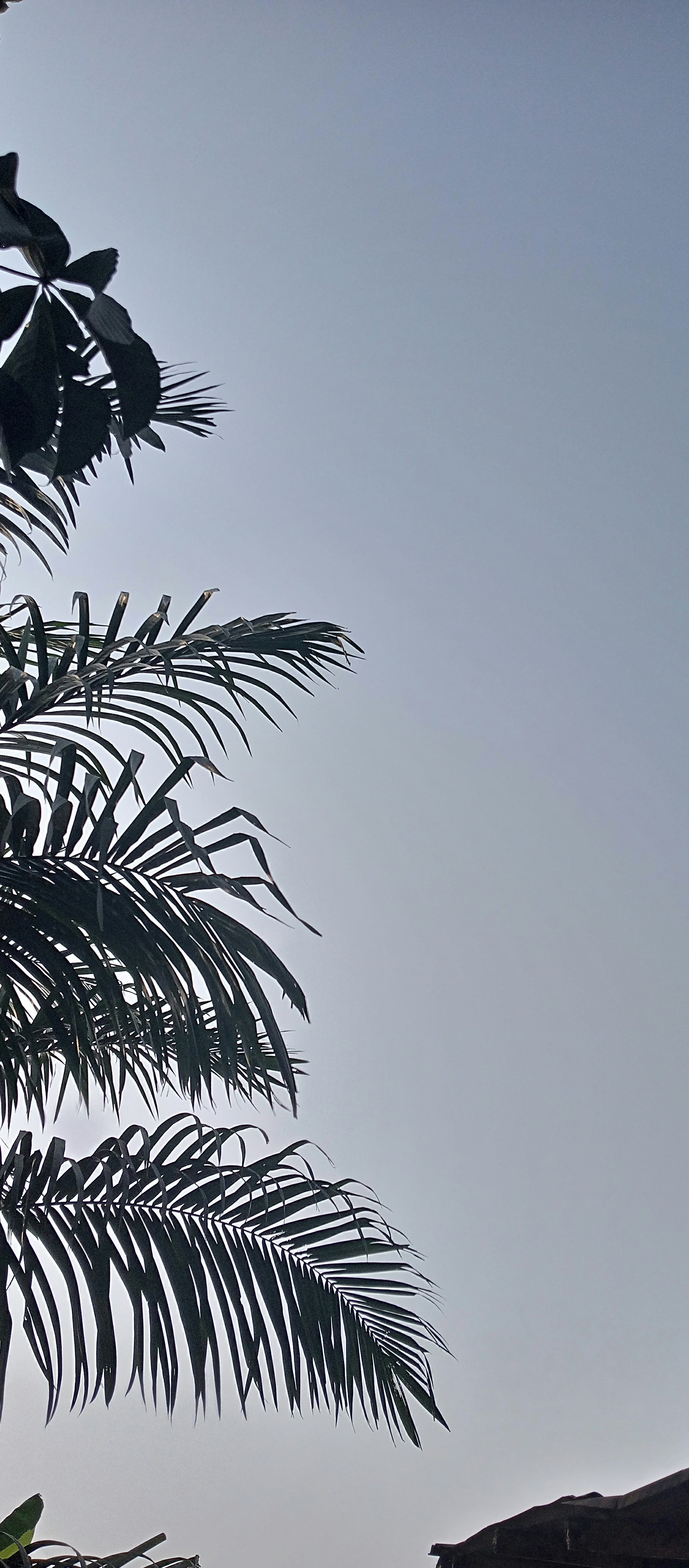 Photo by chaliemoscow