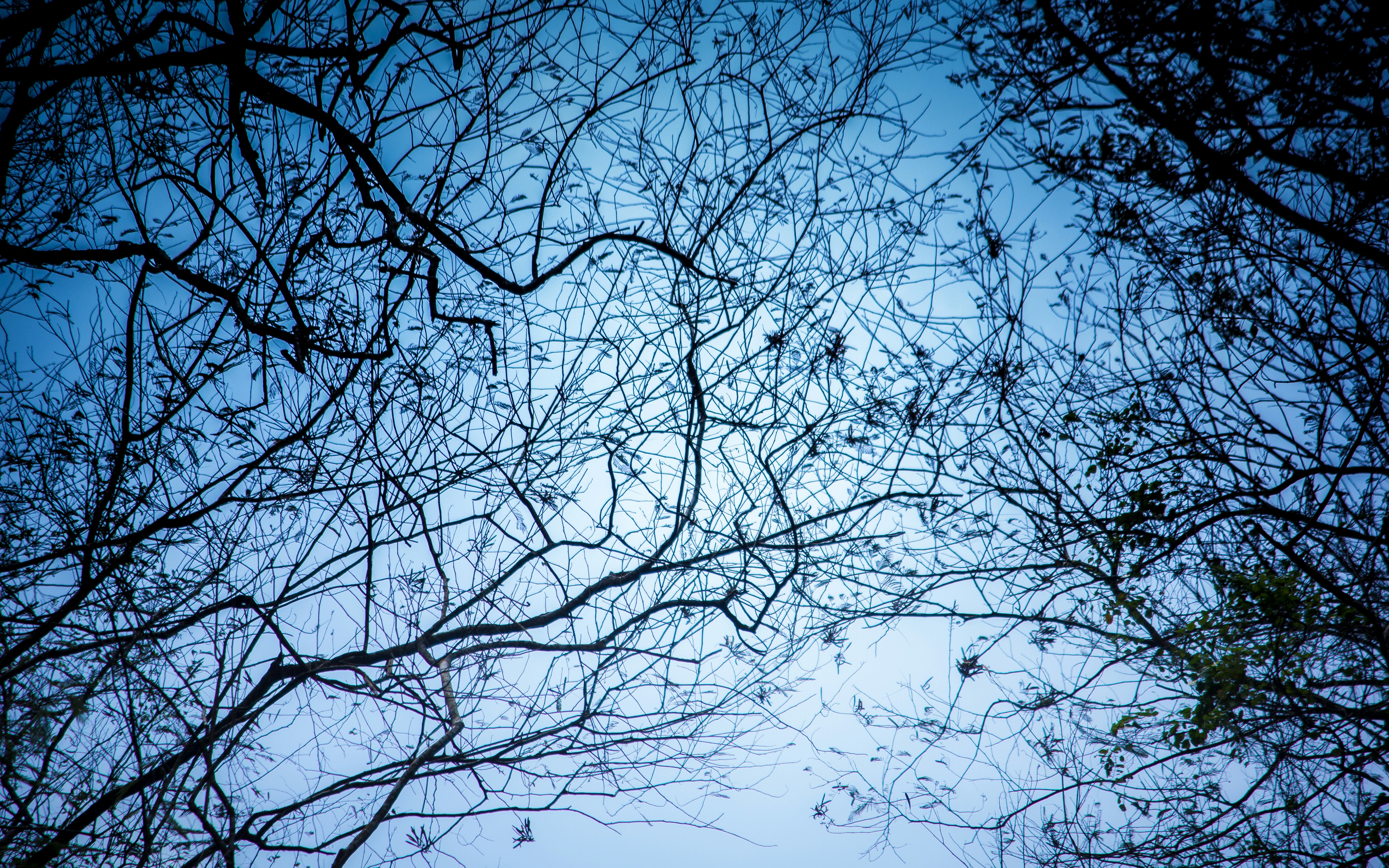 Photo by isengrapher