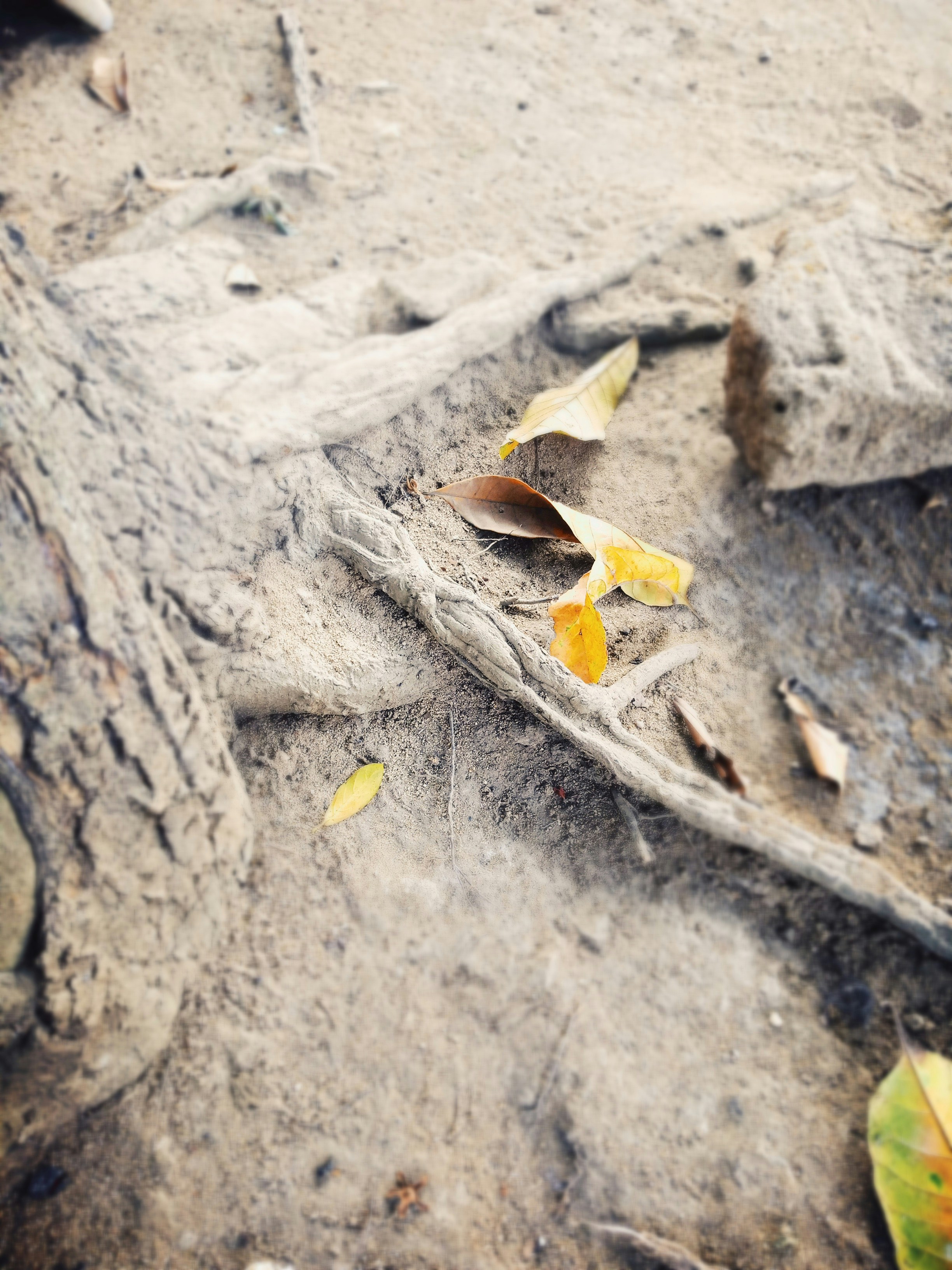 Photo by chaliemoscow