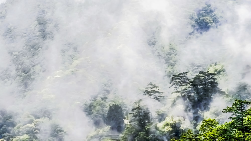 a mountain covered in clouds and trees