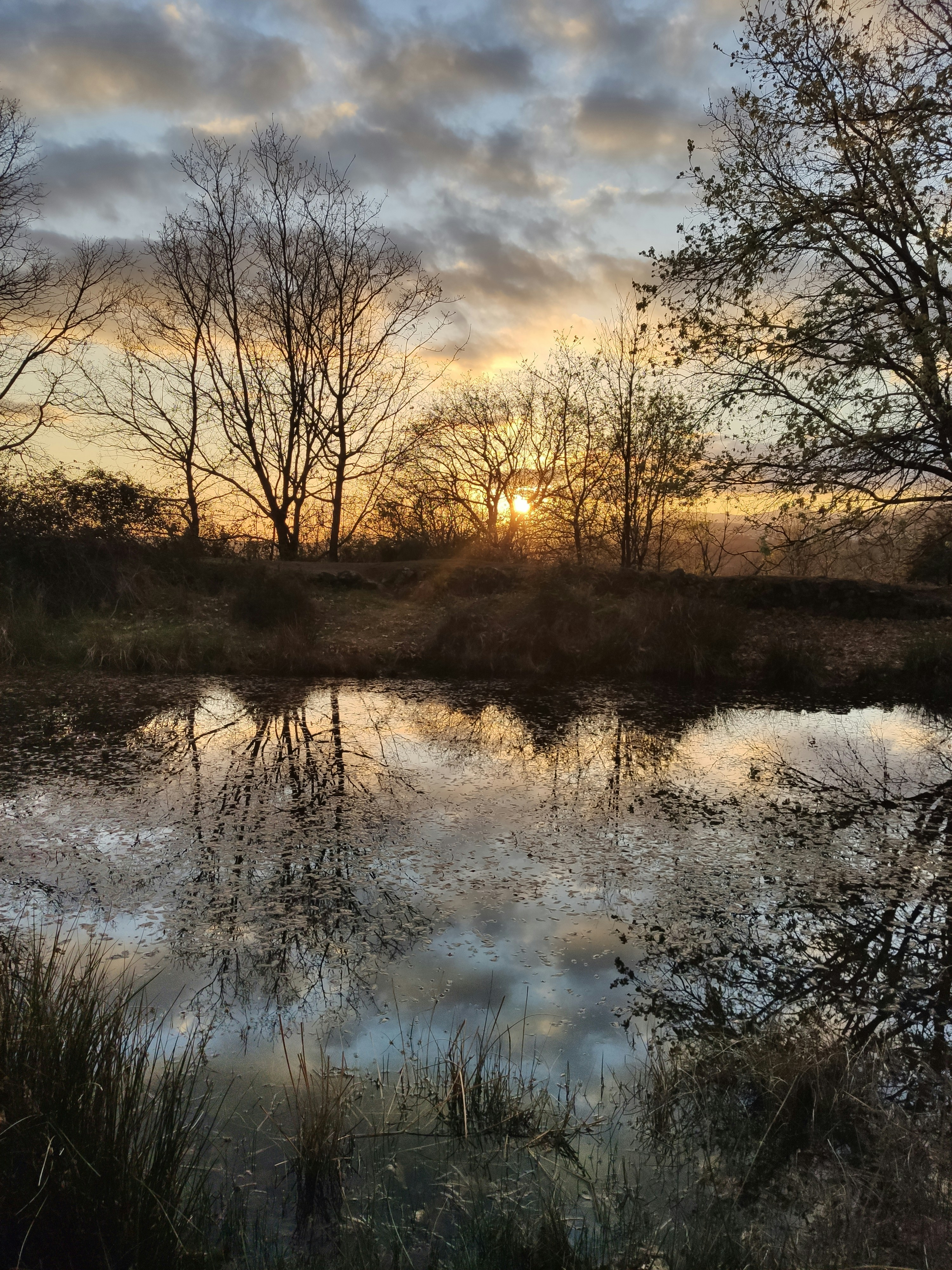 Photo by imellado