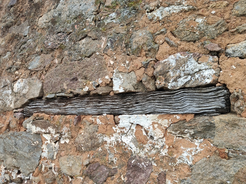 a close up of a rock wall with a piece of wood sticking out of it