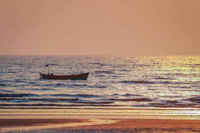 Valsad, Gujarat – local businesses and services