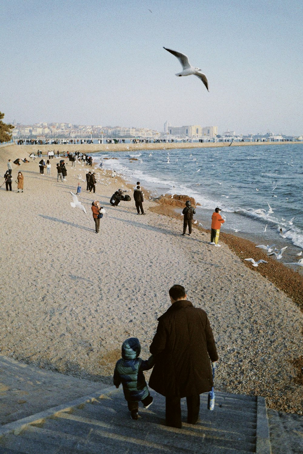 a group of people standing on top of a sandy beach