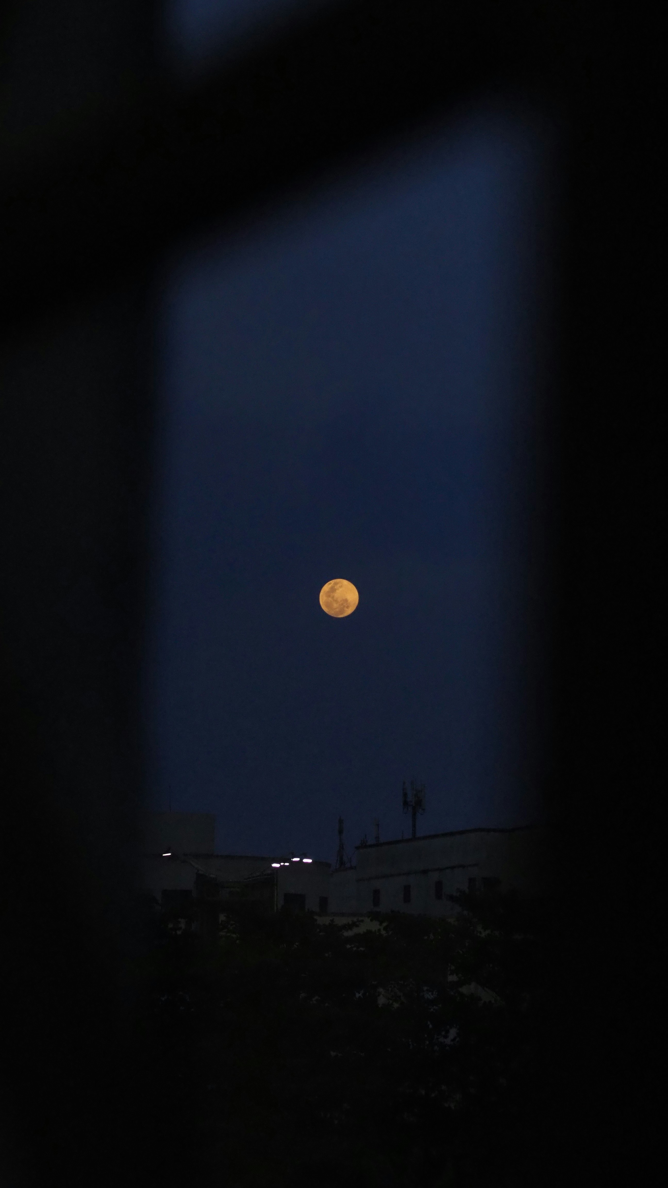 Photo by adam_mushii