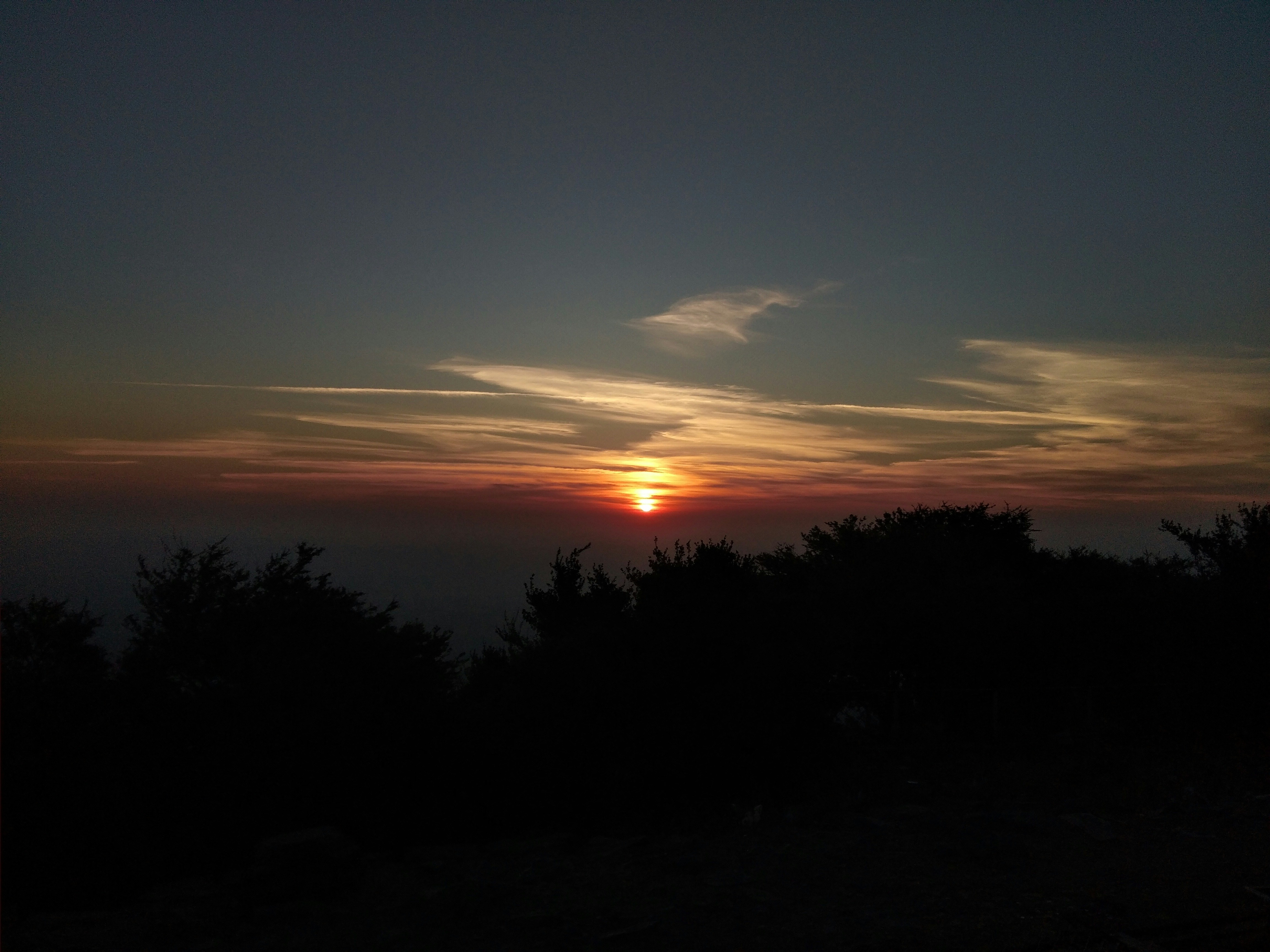 Photo by krunal_salvi