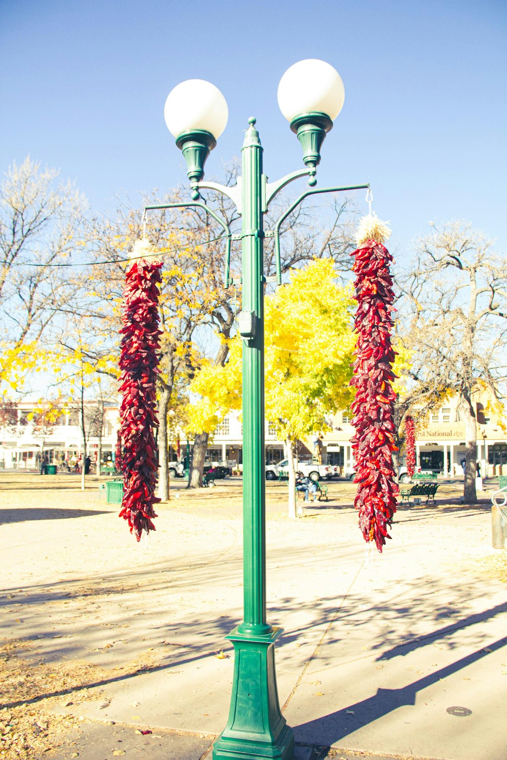 a green street light with red peppers hanging from it