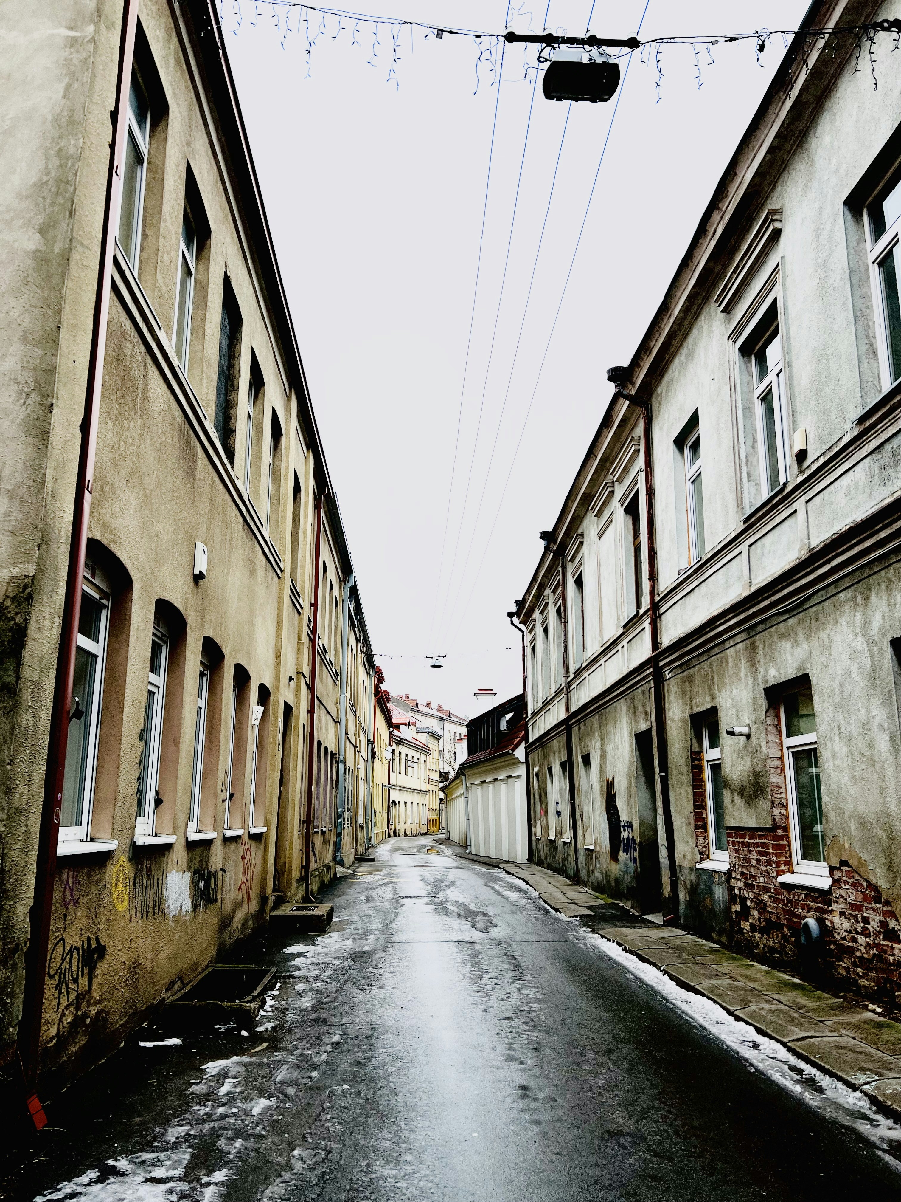 Photo by karolinavaiciekauskaite