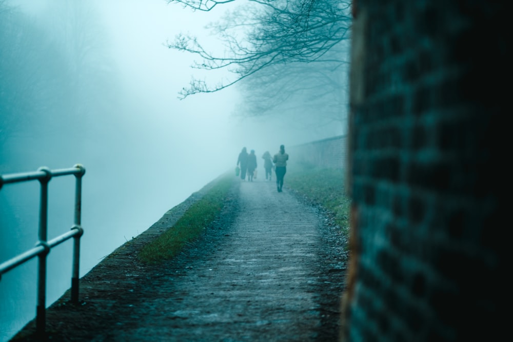 a group of people walking down a foggy path