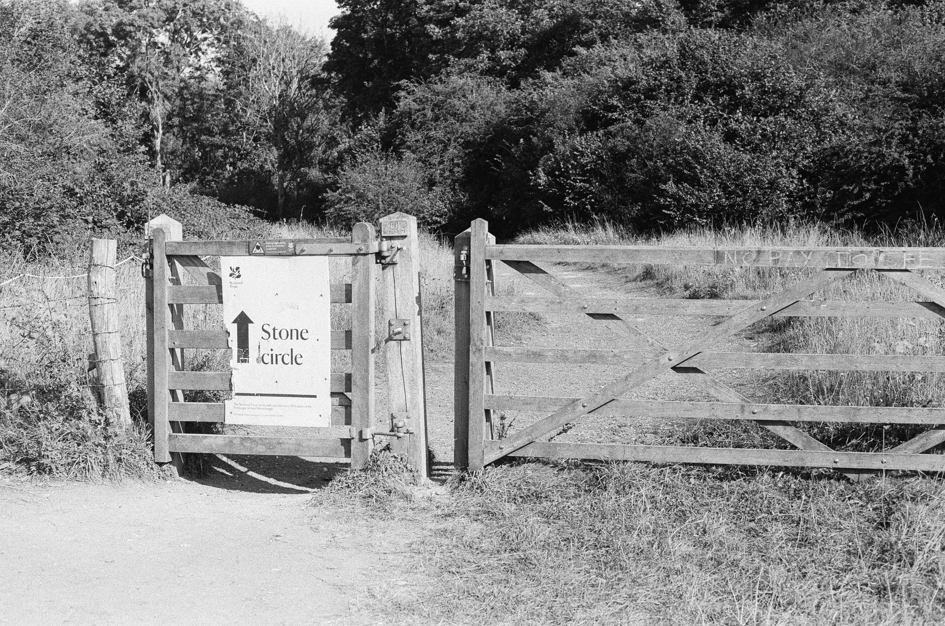 Photo by hannahcsmithcurio