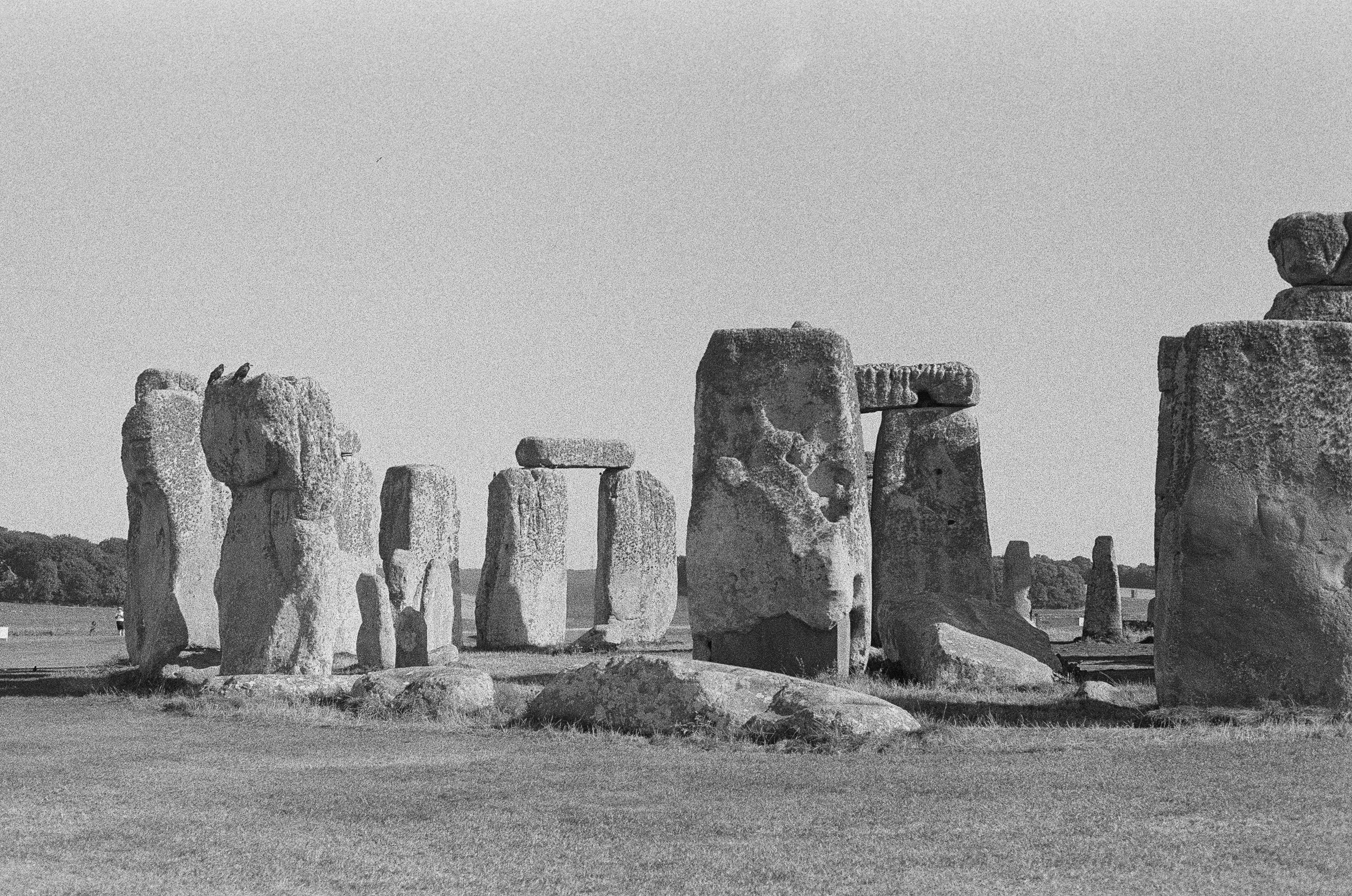 a black and white photo of stonehenge in a field