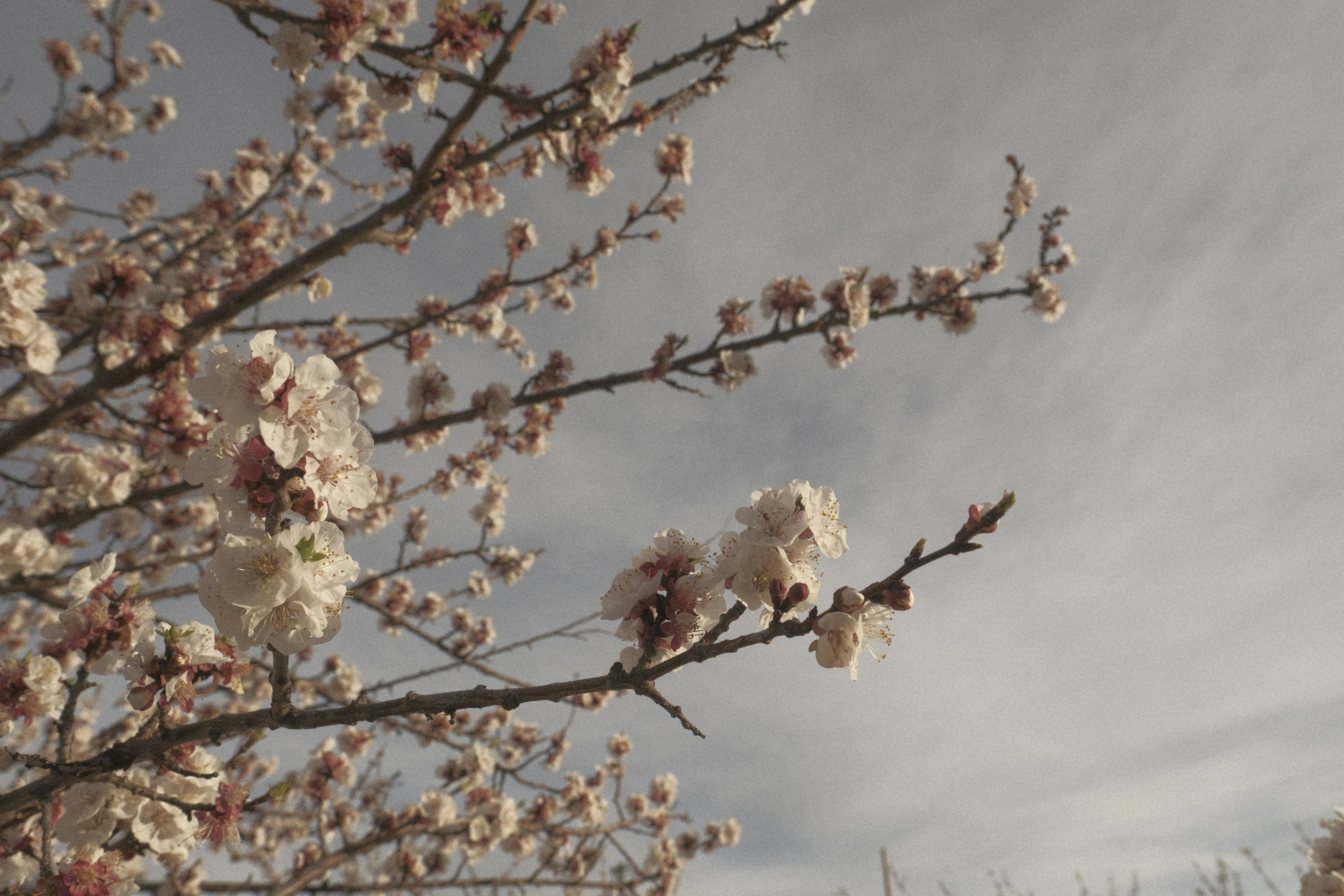 Photo by chandleraitchison