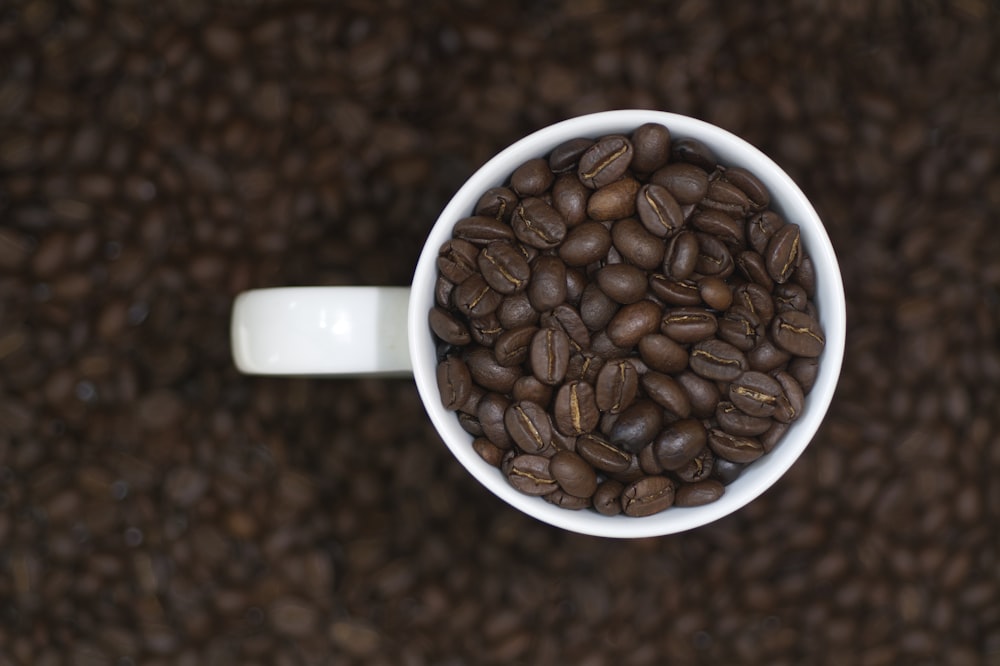 a white cup filled with coffee beans on top of a carpet