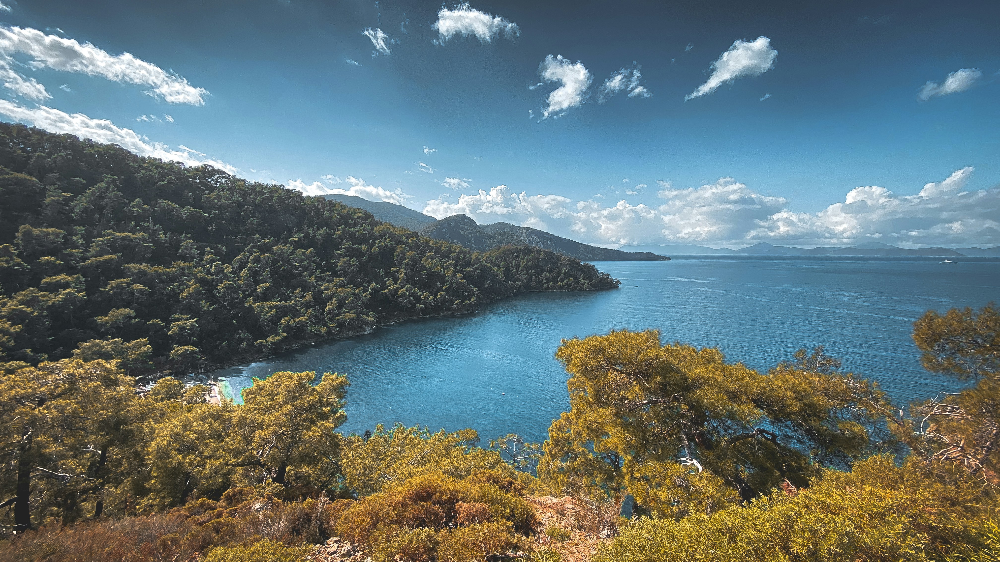 Photo by mohammadfathollahi