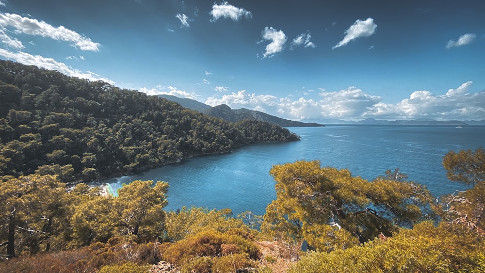 a scenic view of a lake surrounded by trees