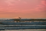 Surfer catching a perfect wave at sunrise with vibrant orange sky.