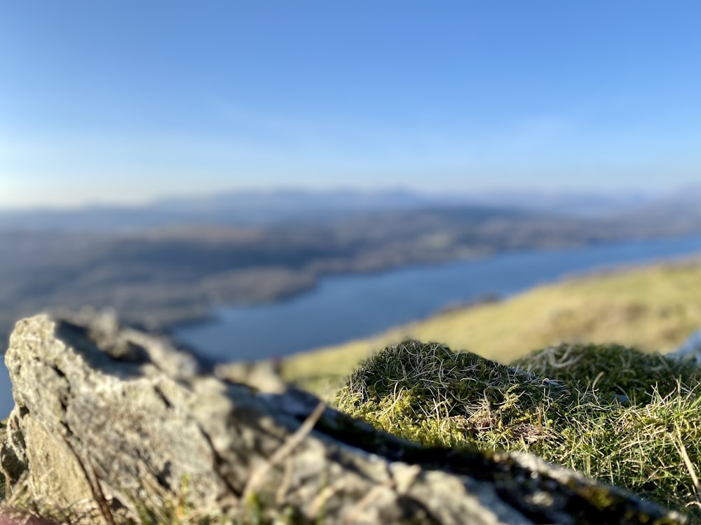 a close up of a rock and grass with a lake in the background