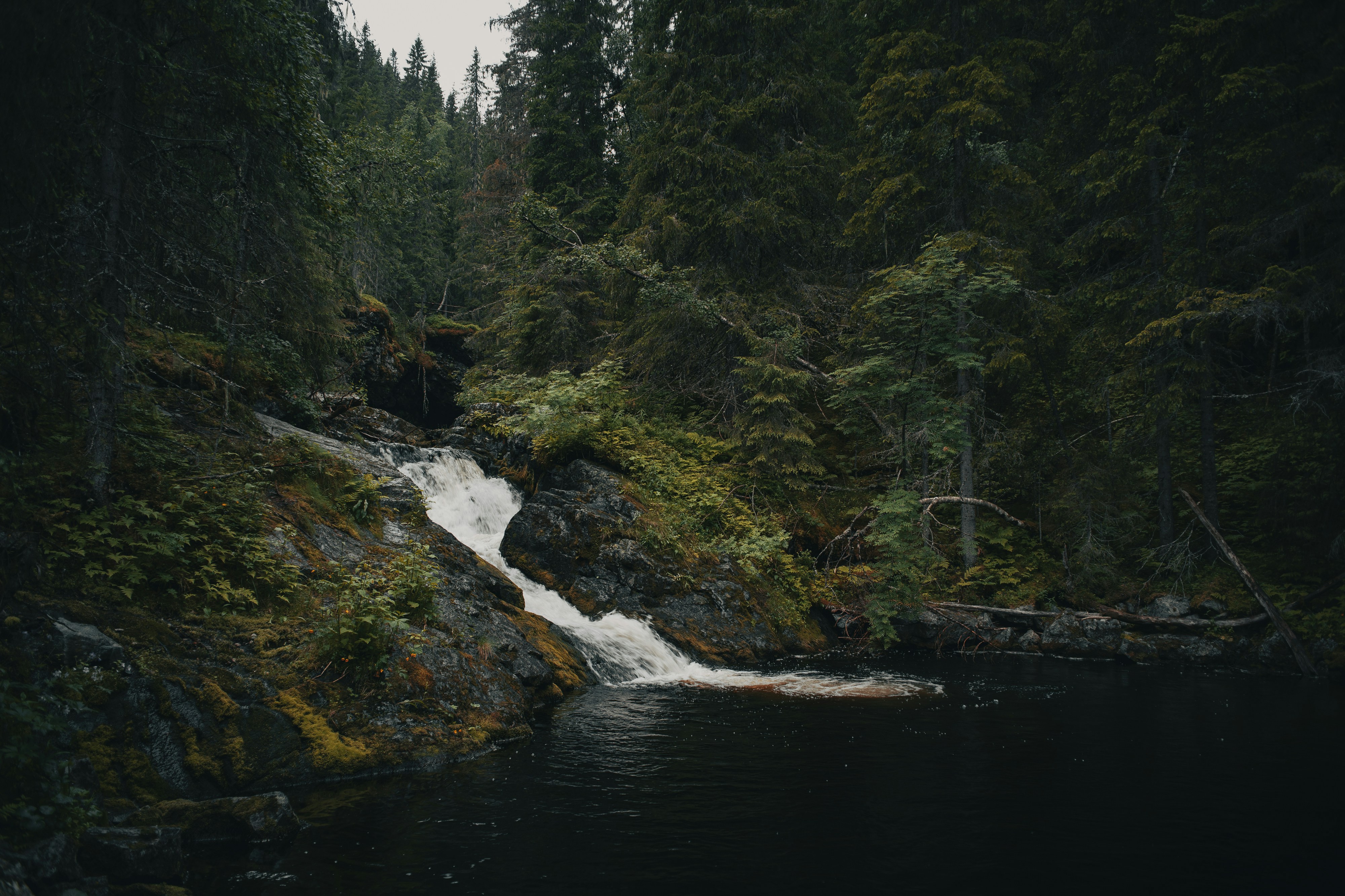 Photo by fredrikposse