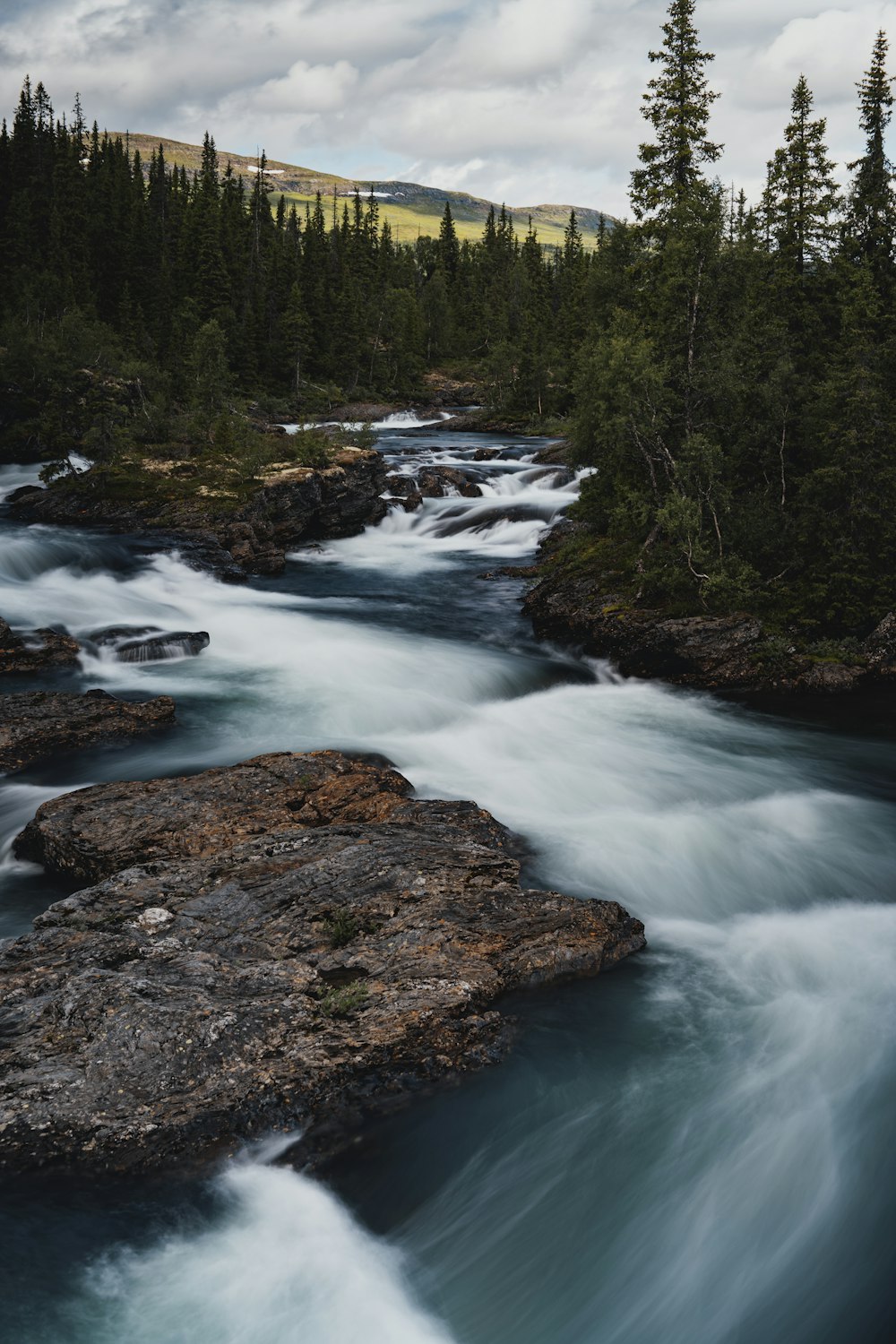 a river running through a lush green forest