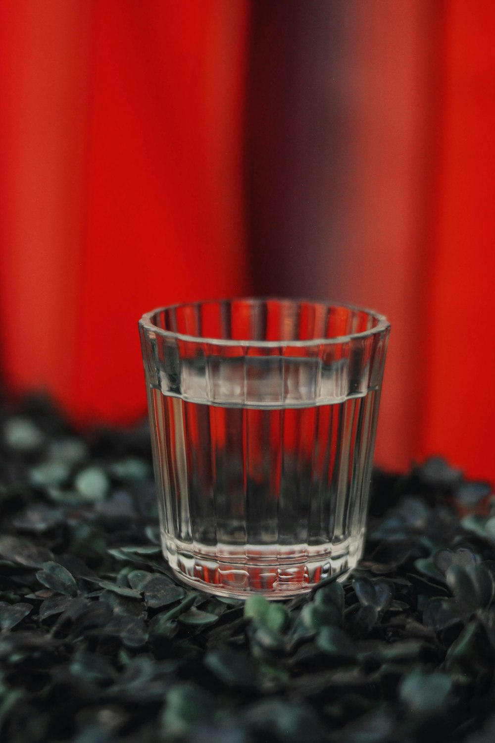 a glass of water sitting on top of a pile of leaves