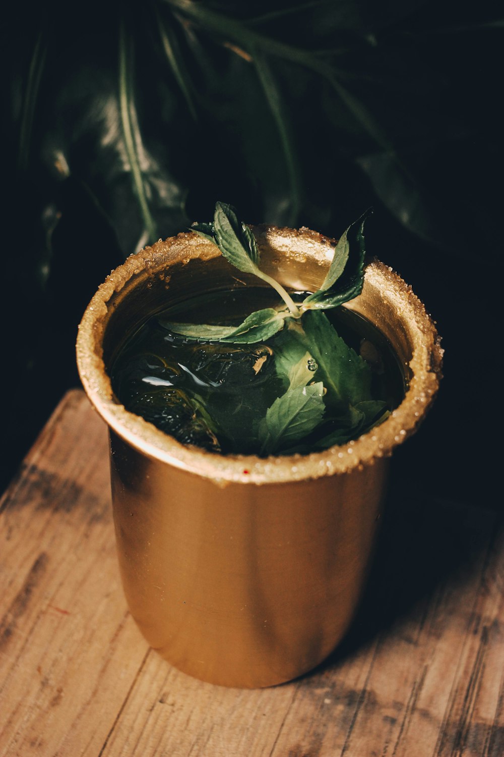 a potted plant sitting on top of a wooden table