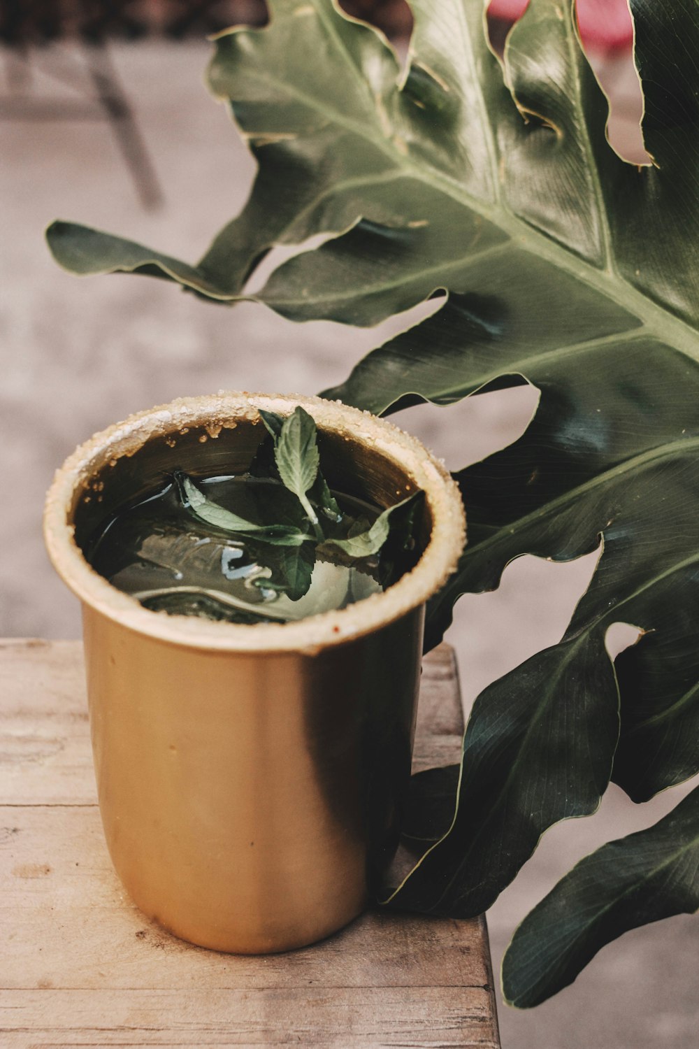 a potted plant sitting on top of a wooden table