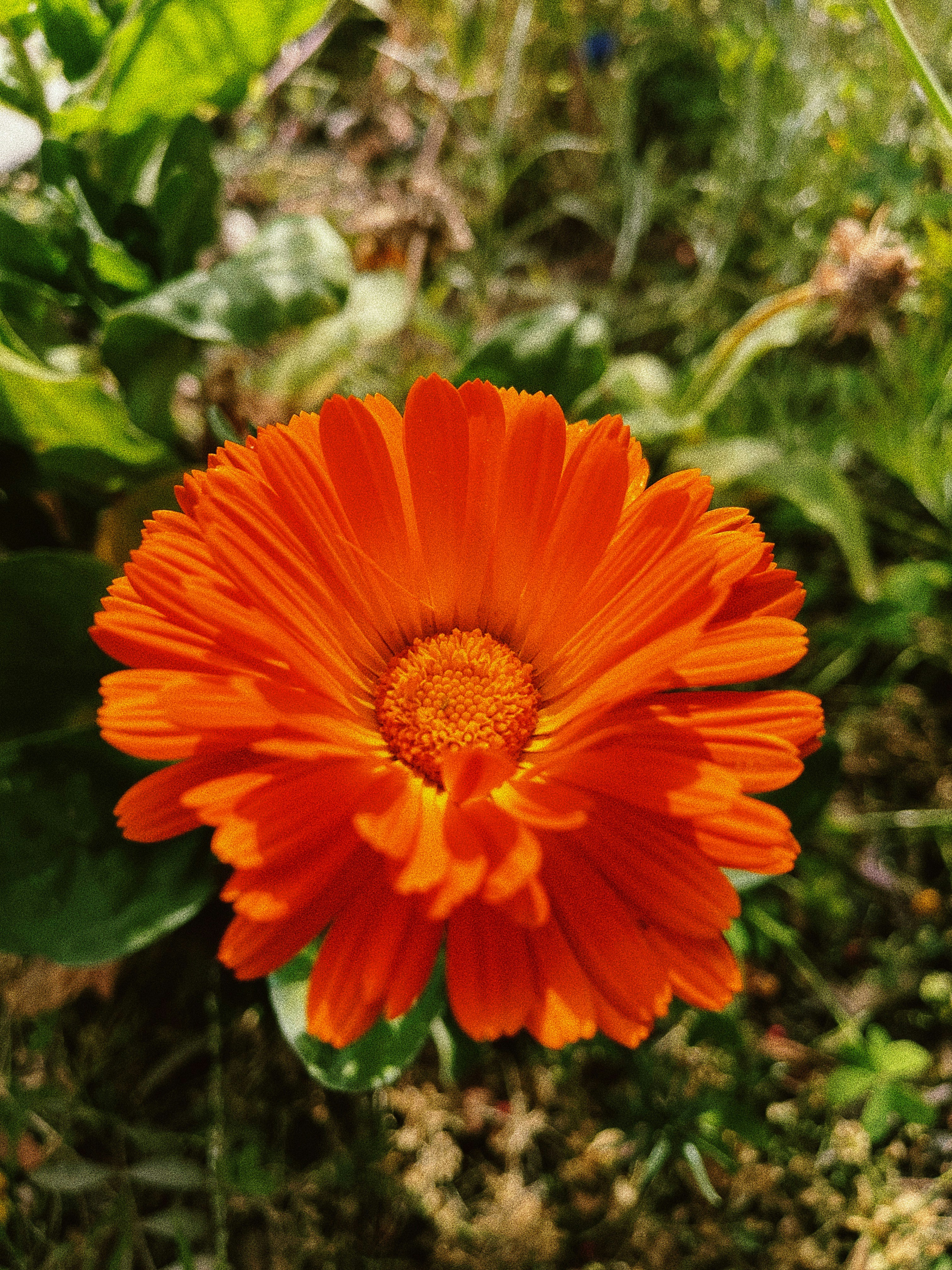 Photo by christopherstites