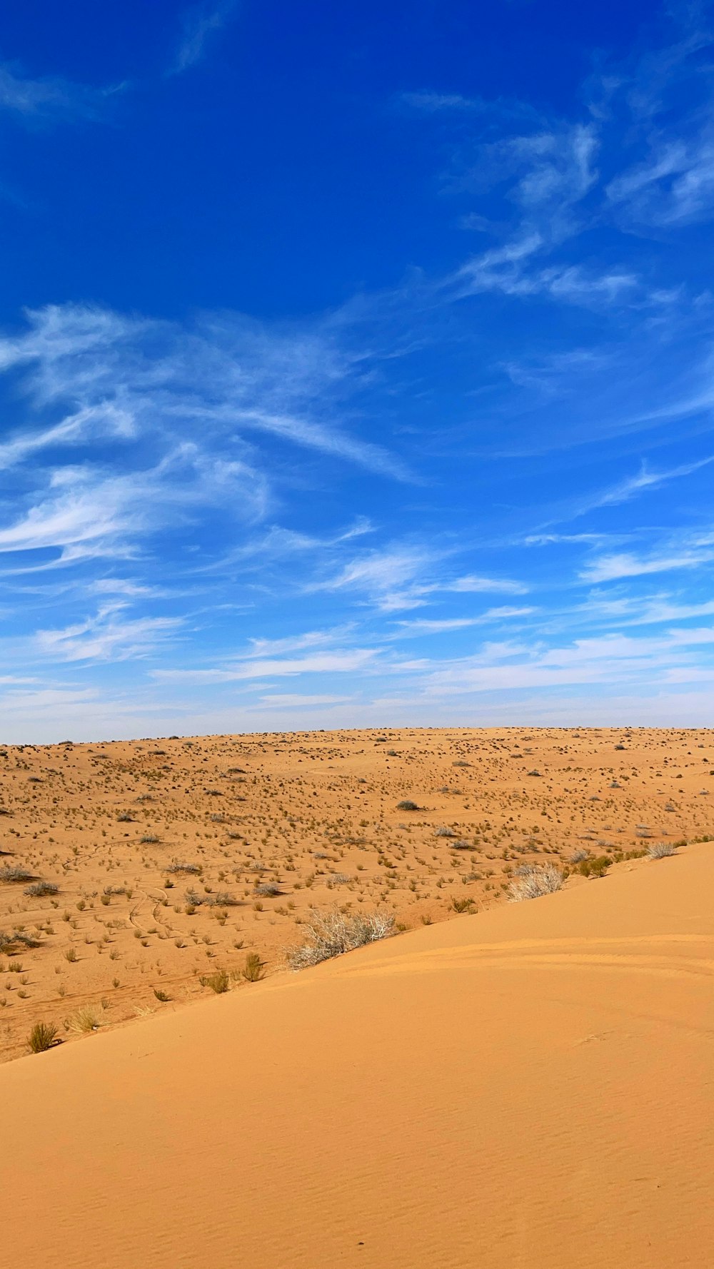 a person riding a horse in the desert