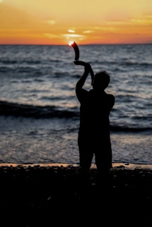 a person standing on a beach holding a kite