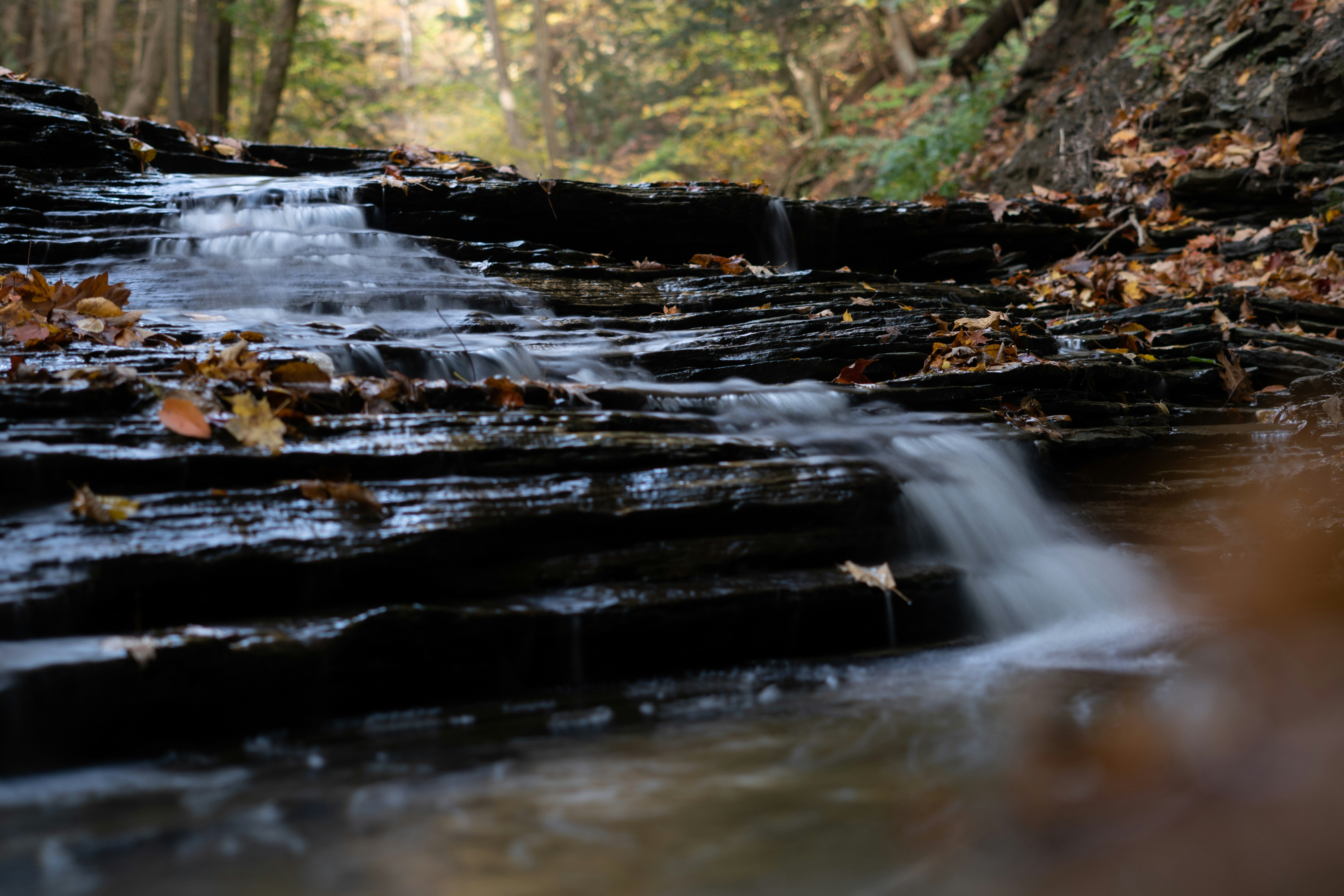 Photo by mharrisonphotography