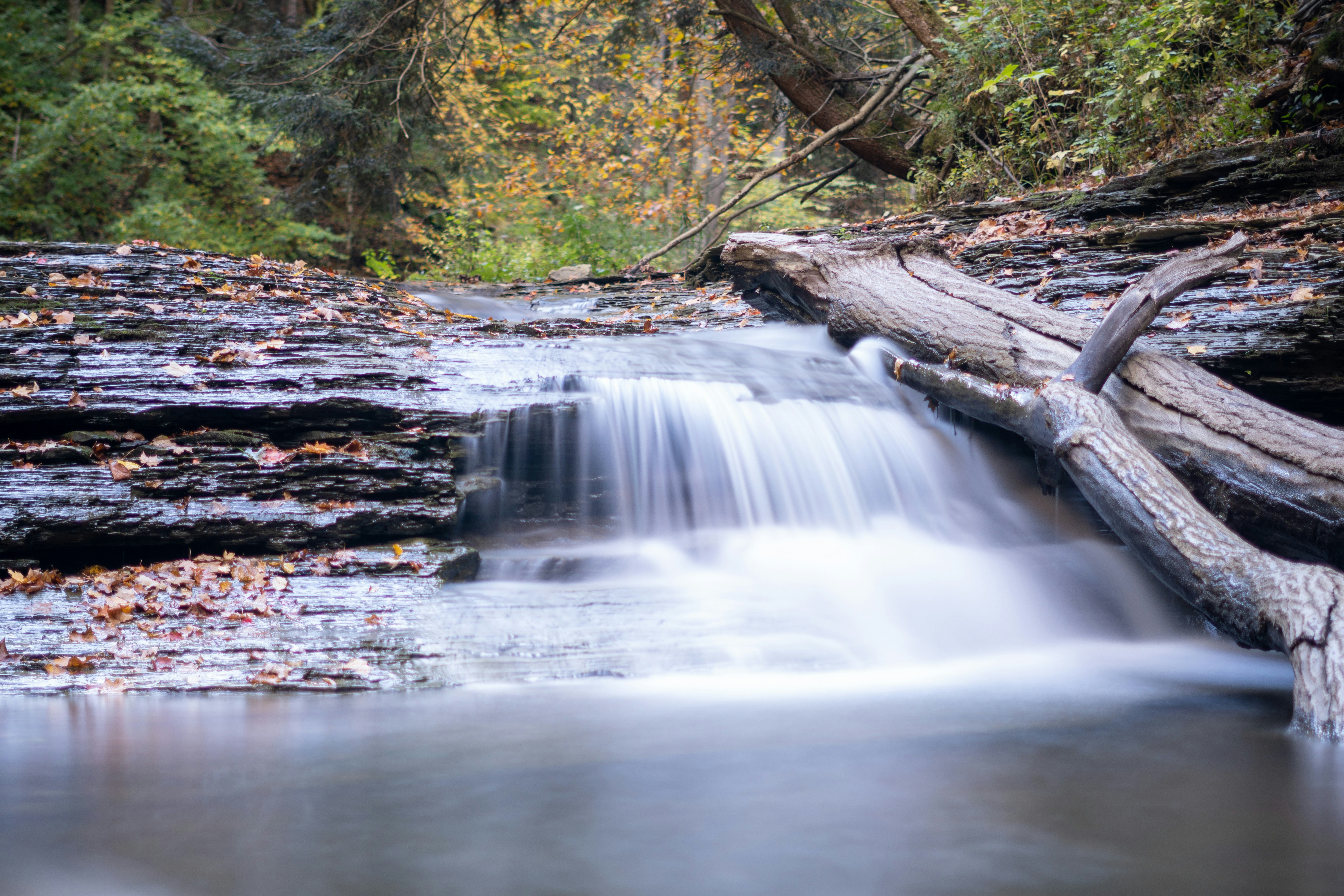 Photo by mharrisonphotography