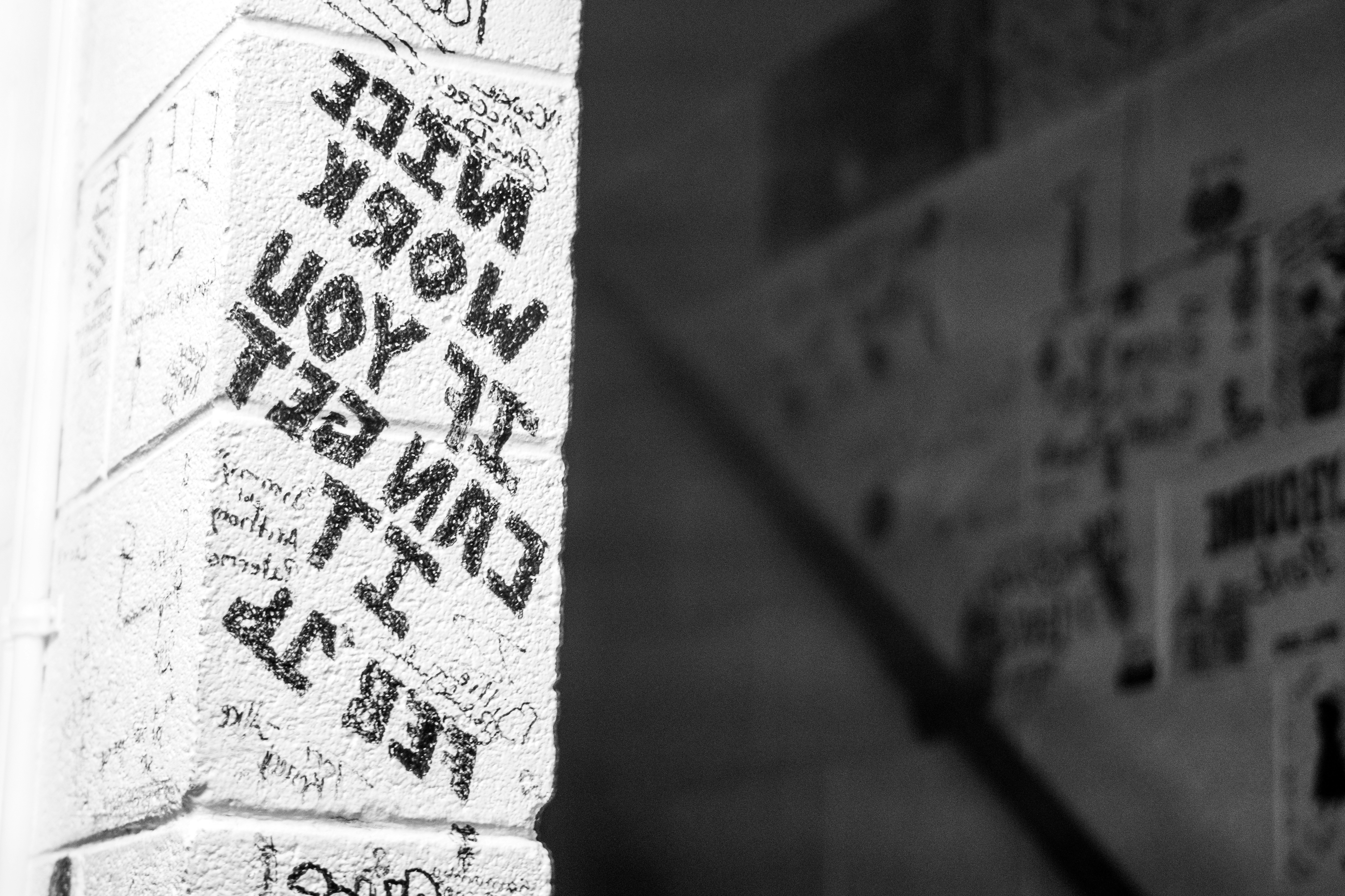 Photo by mharrisonphotography