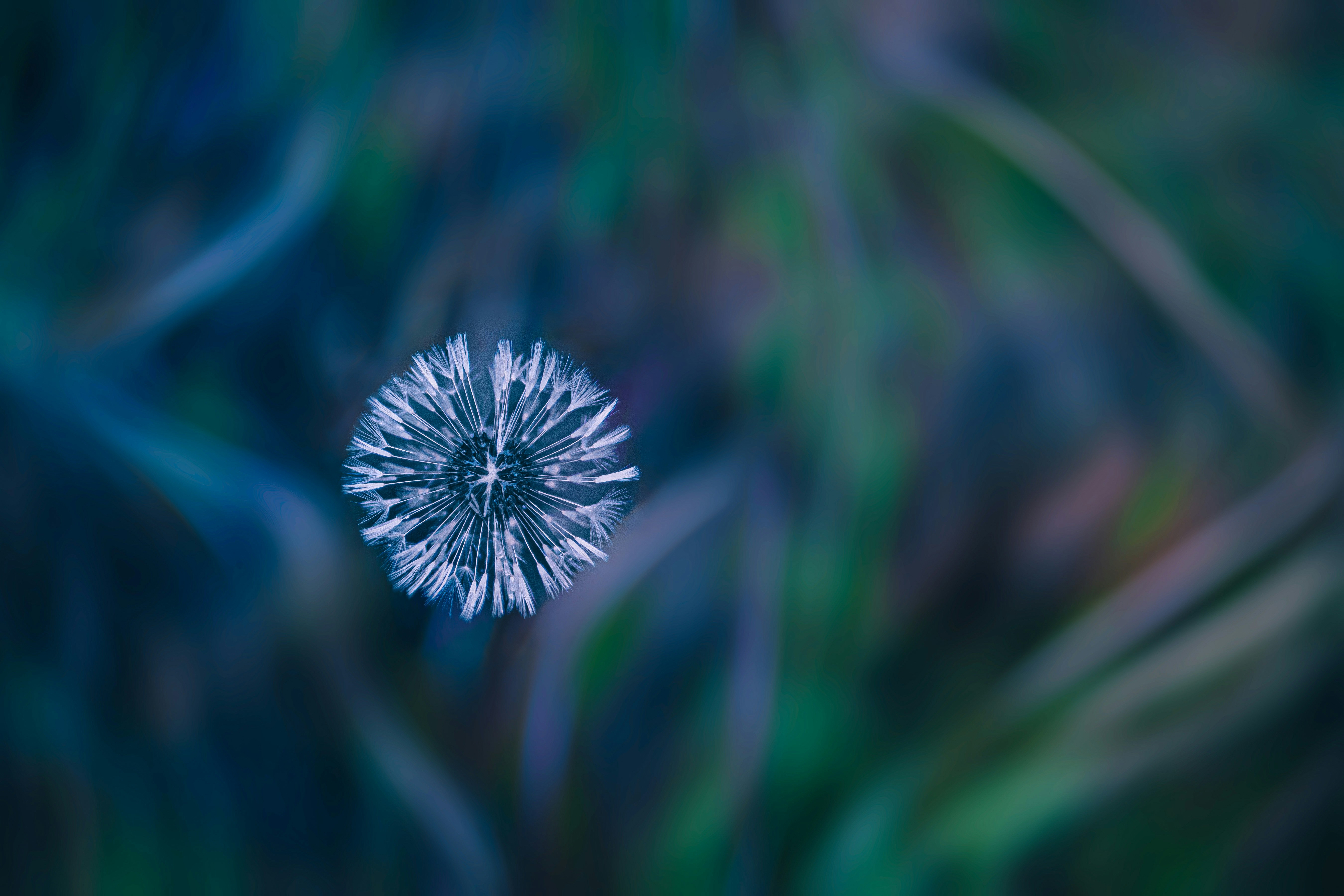 Photo by mharrisonphotography