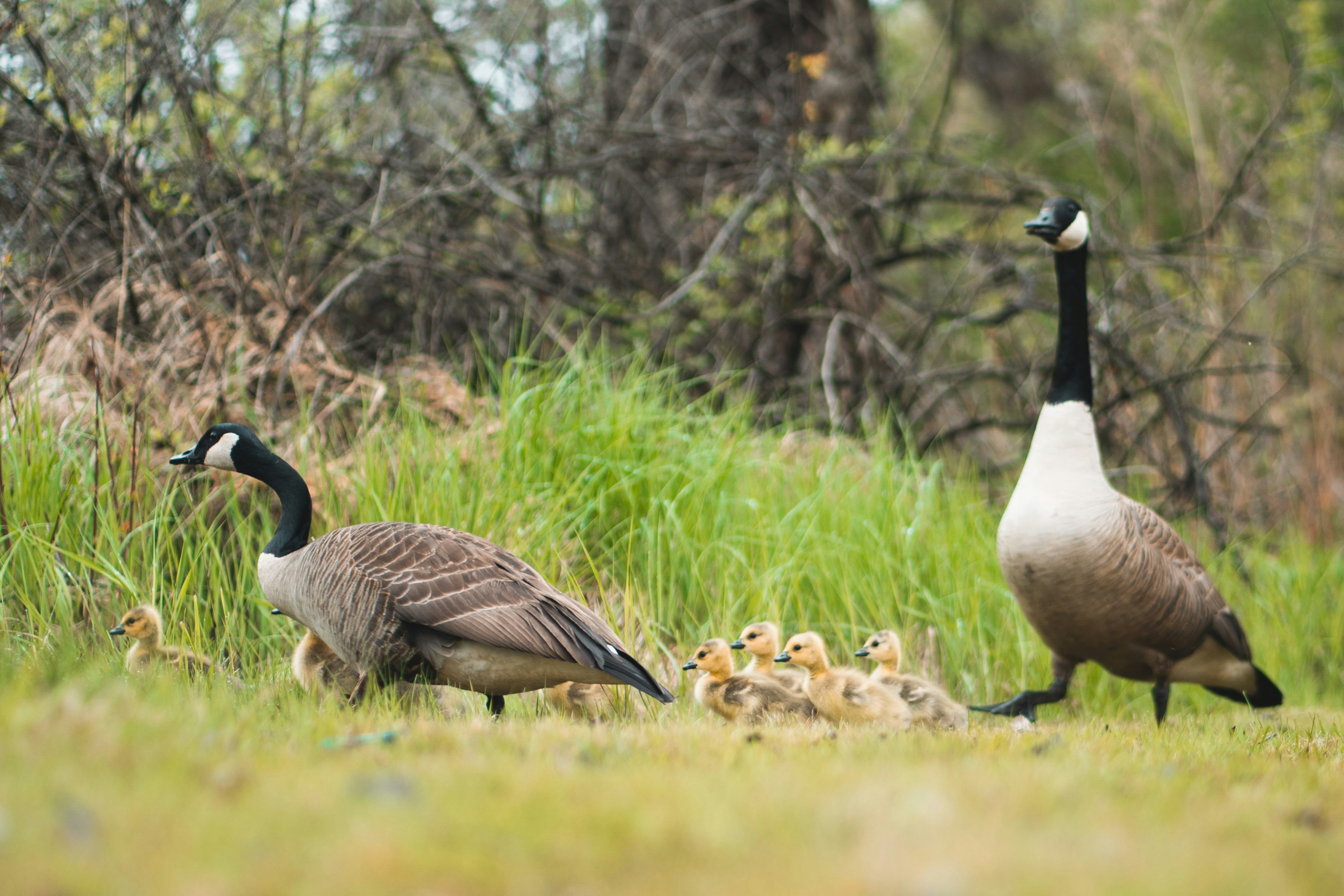 Photo by mharrisonphotography