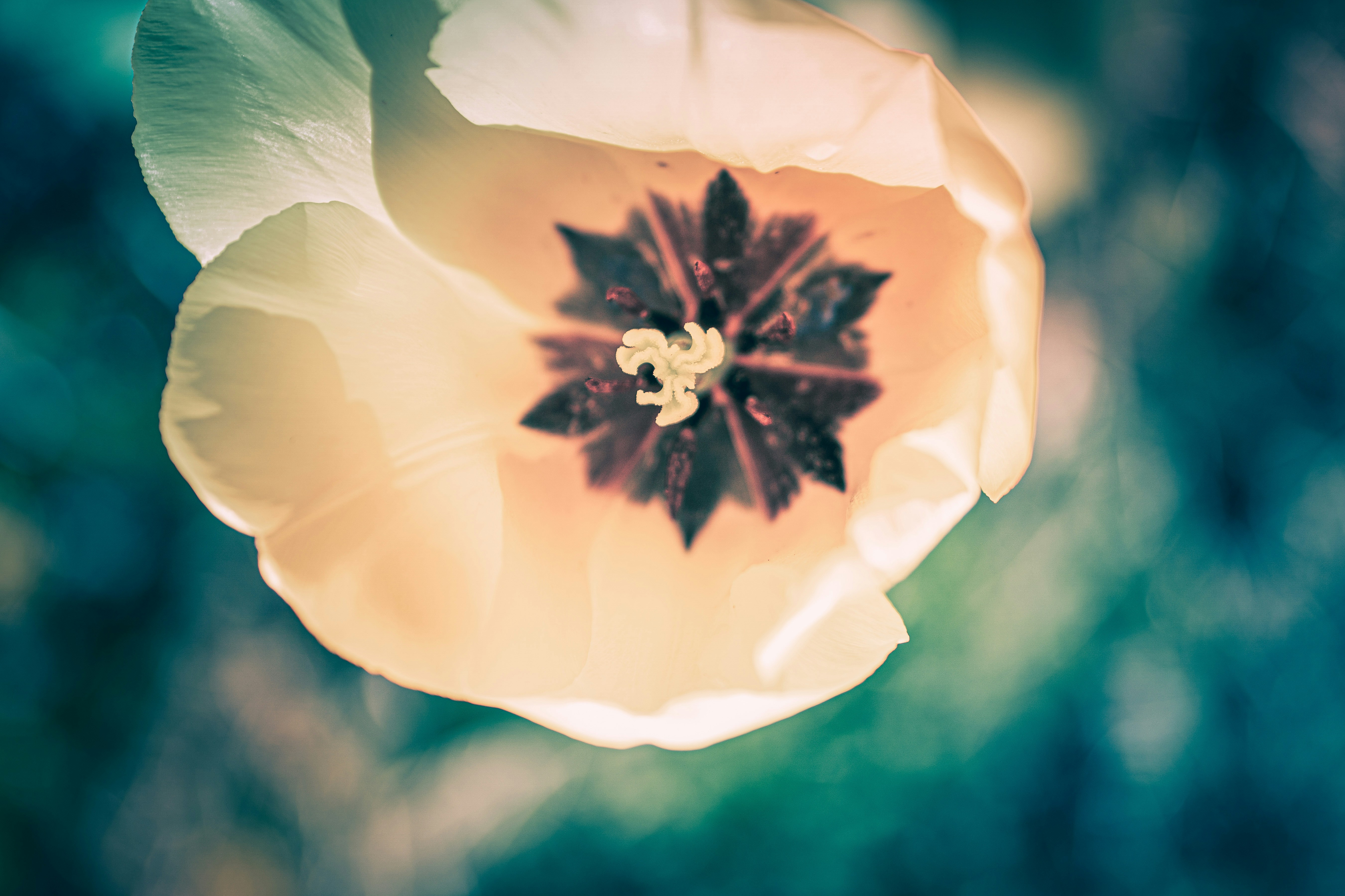 Photo by mharrisonphotography