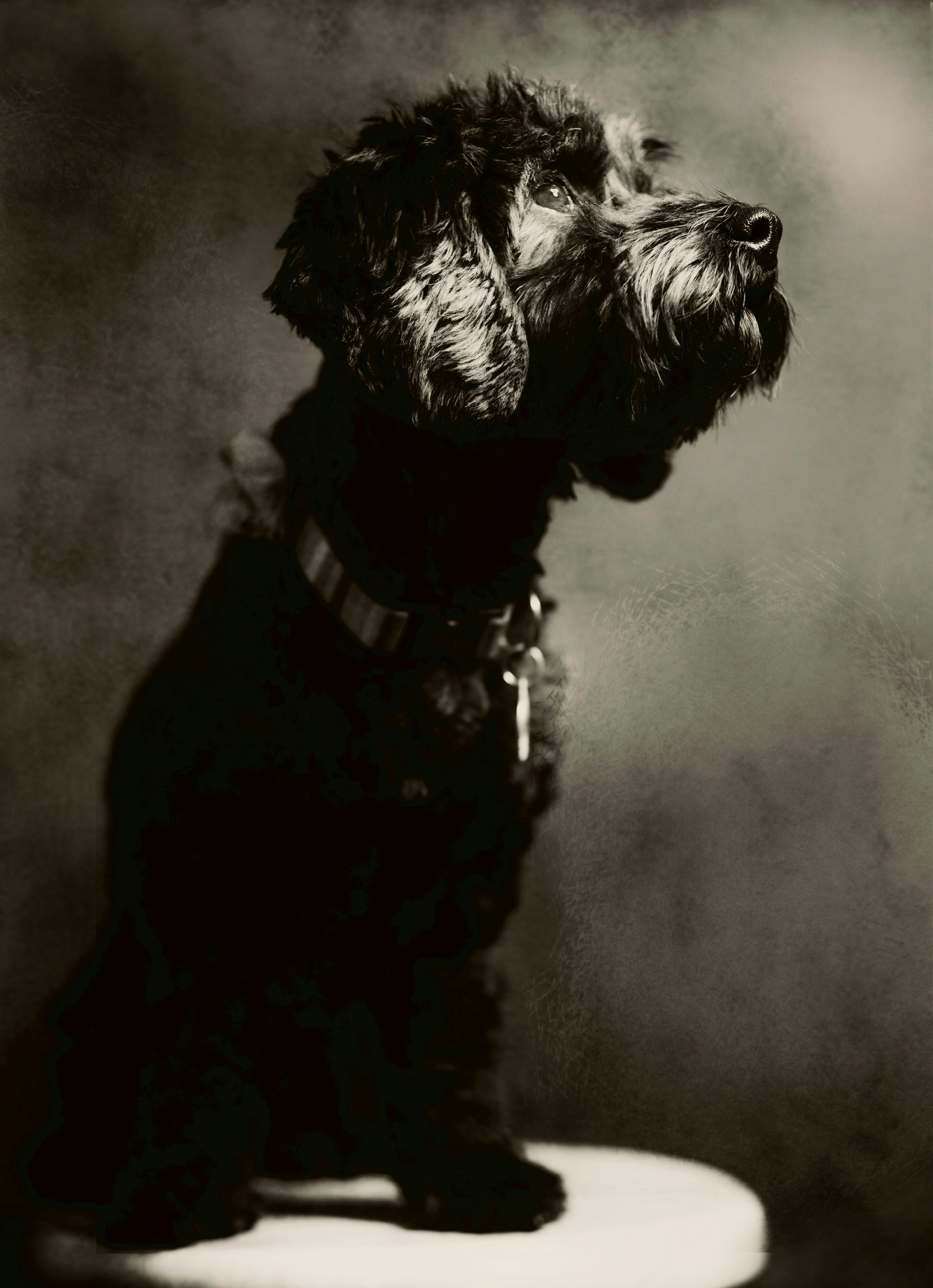 Photo by mharrisonphotography