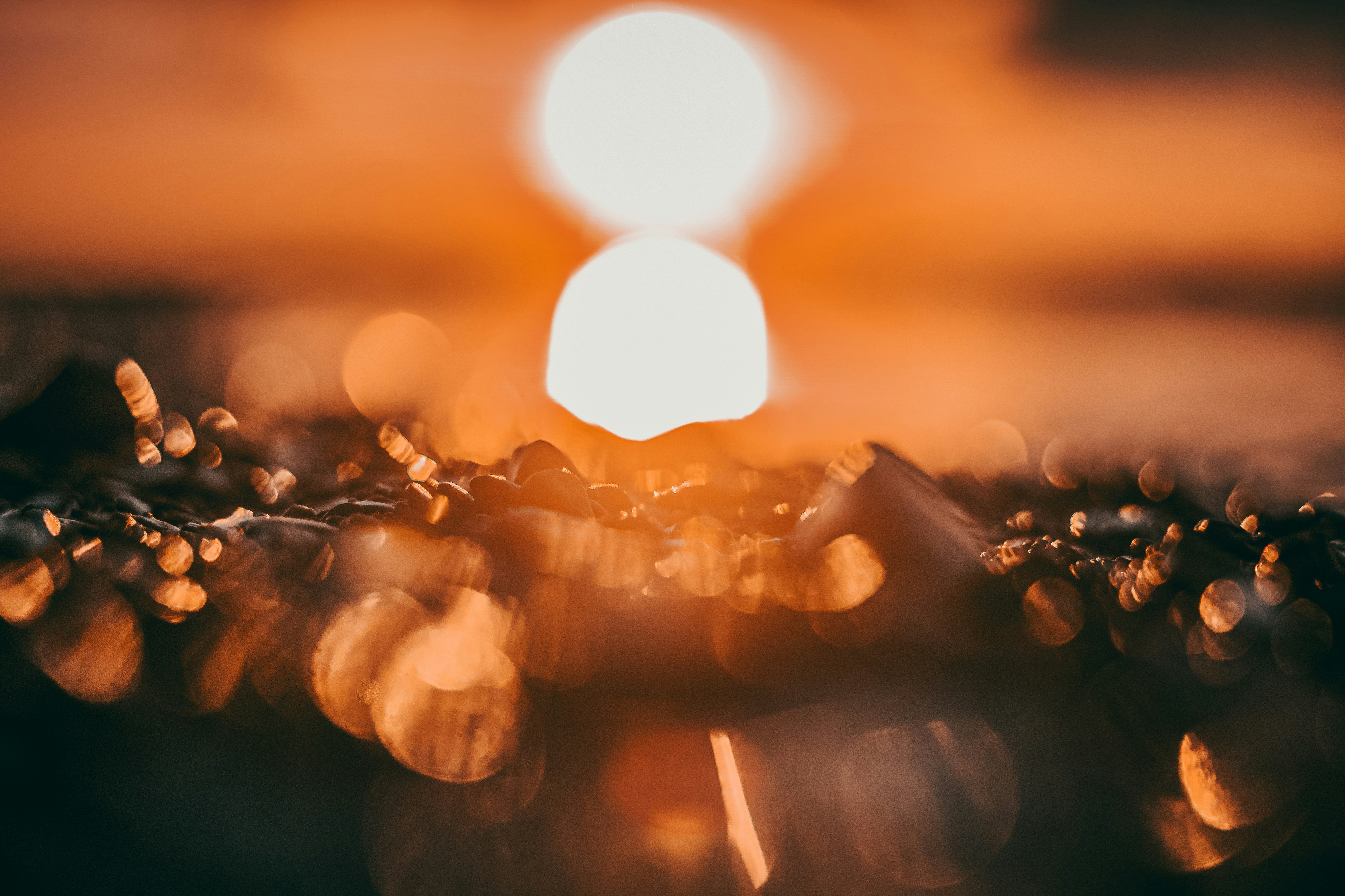 Photo by mharrisonphotography