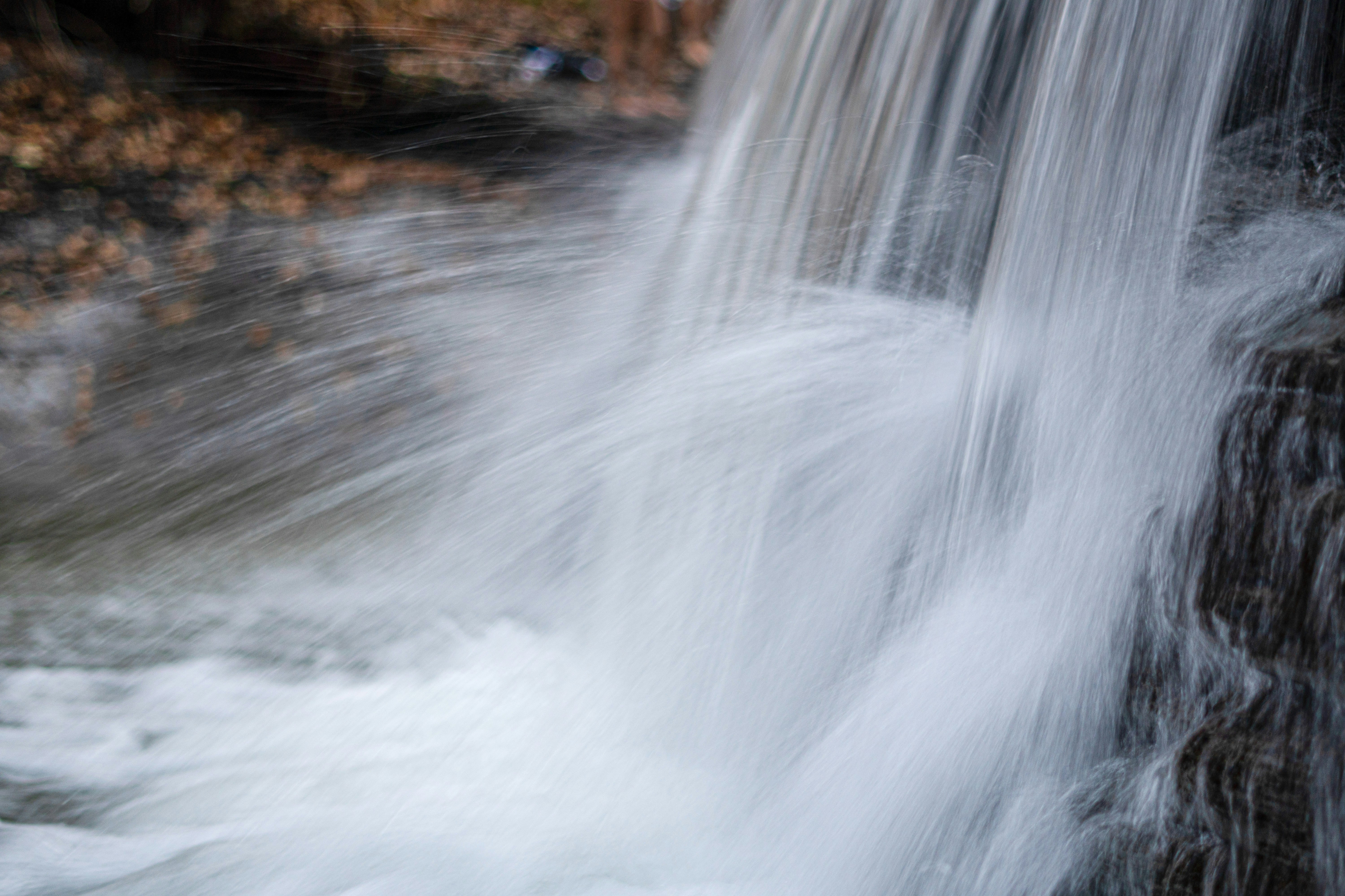 Photo by mharrisonphotography