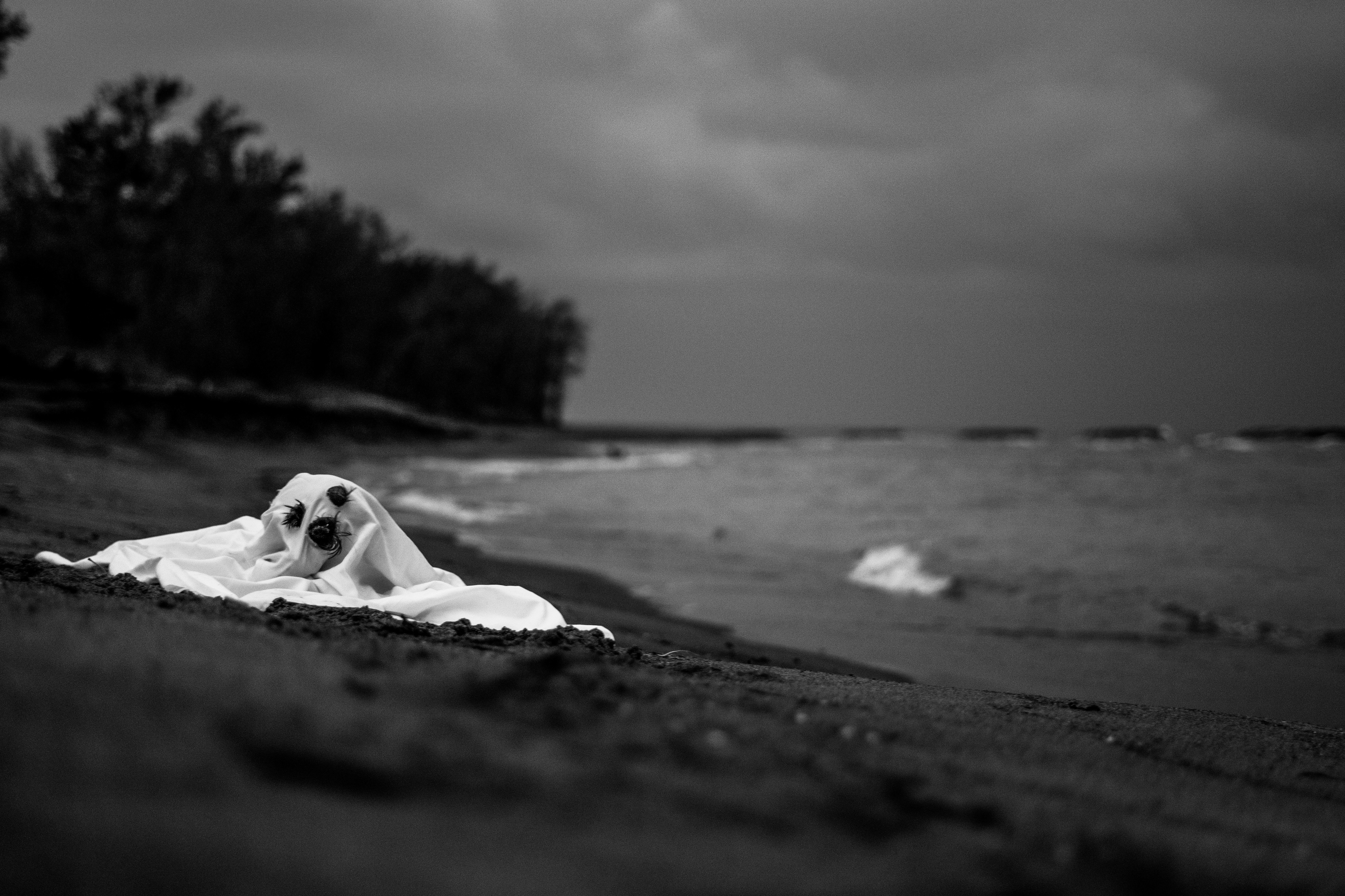 Photo by mharrisonphotography