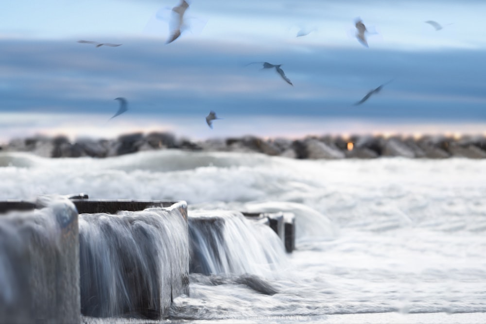 a flock of birds flying over a body of water