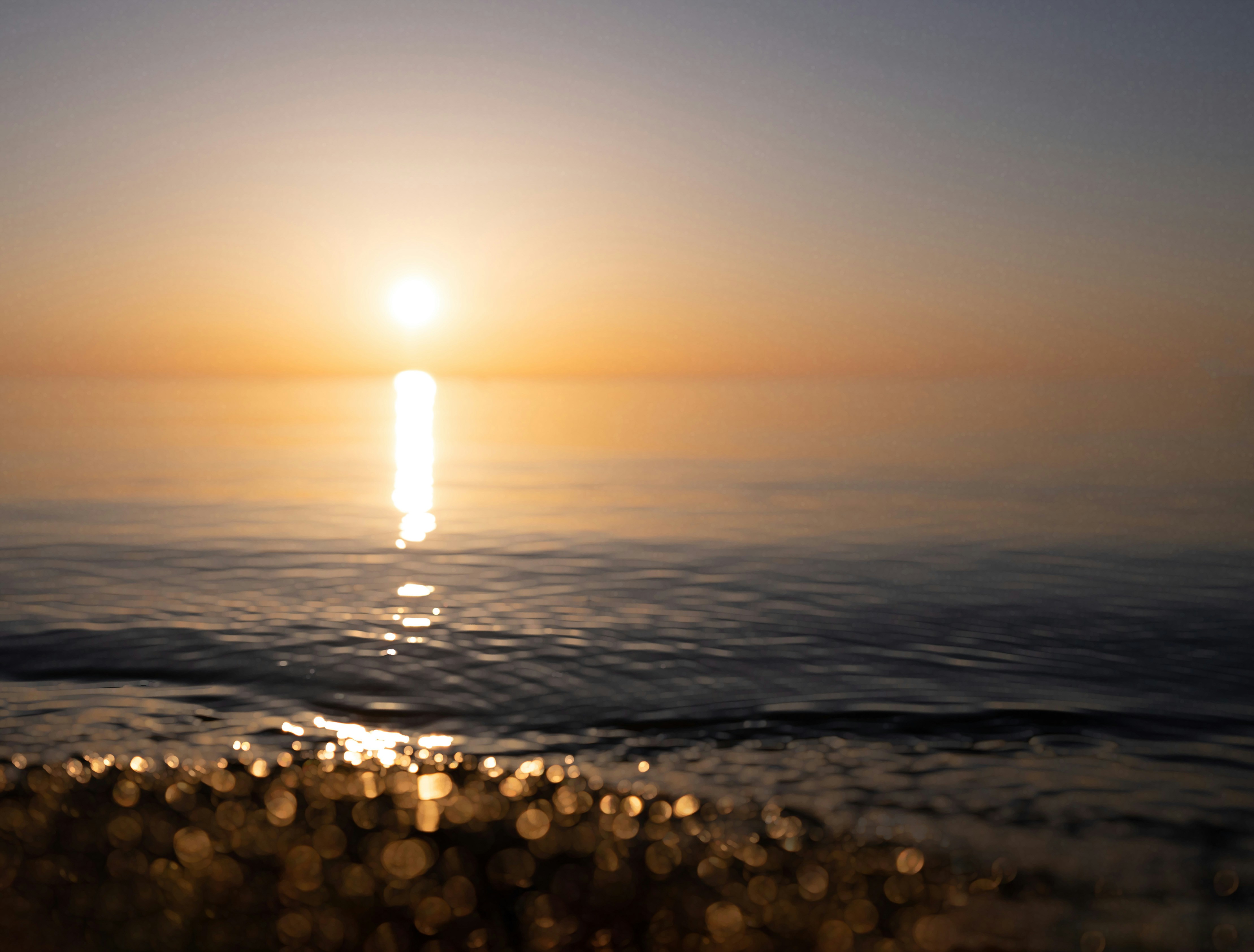 Photo by mharrisonphotography