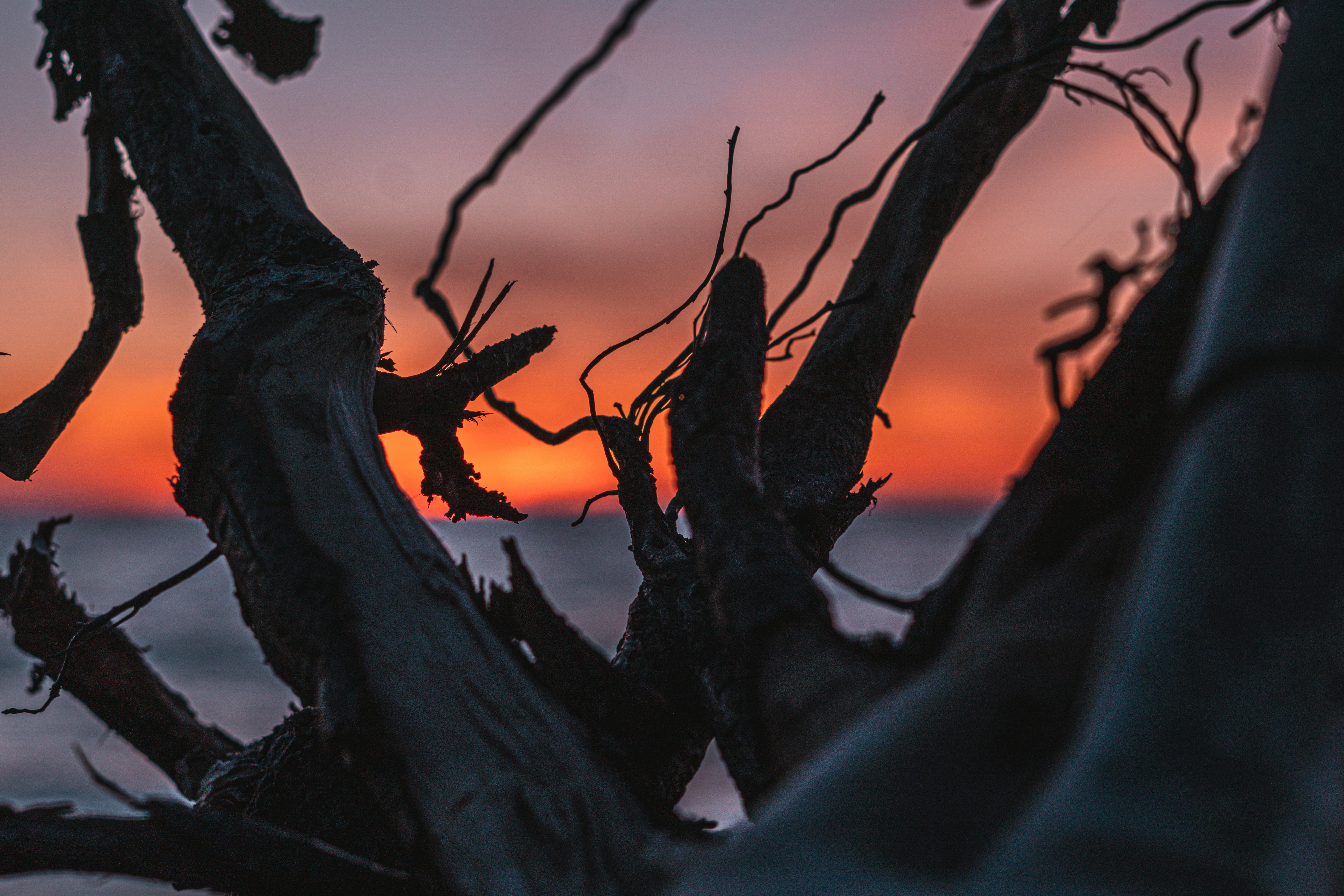 Photo by mharrisonphotography